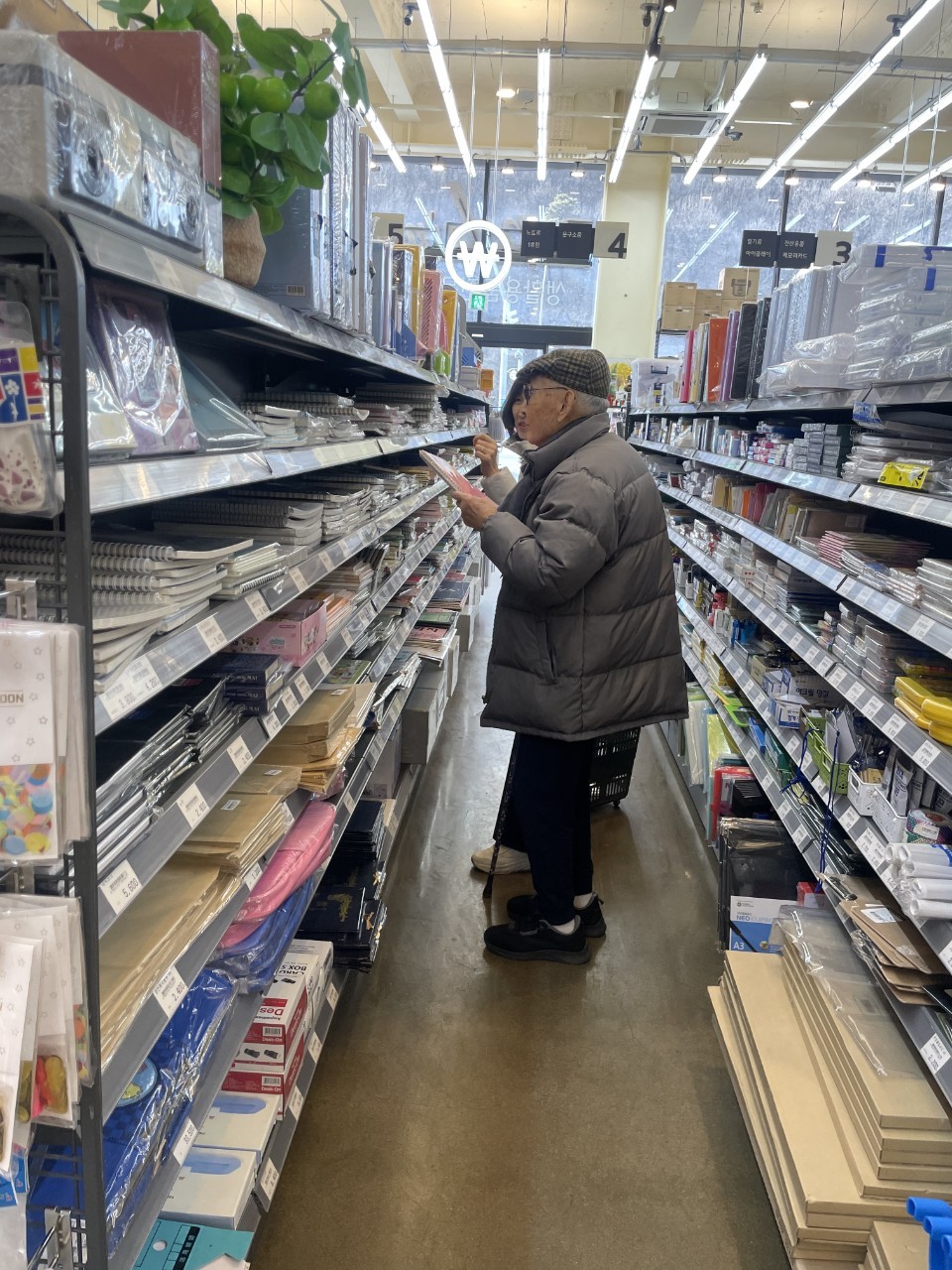 사회활동 프로그램