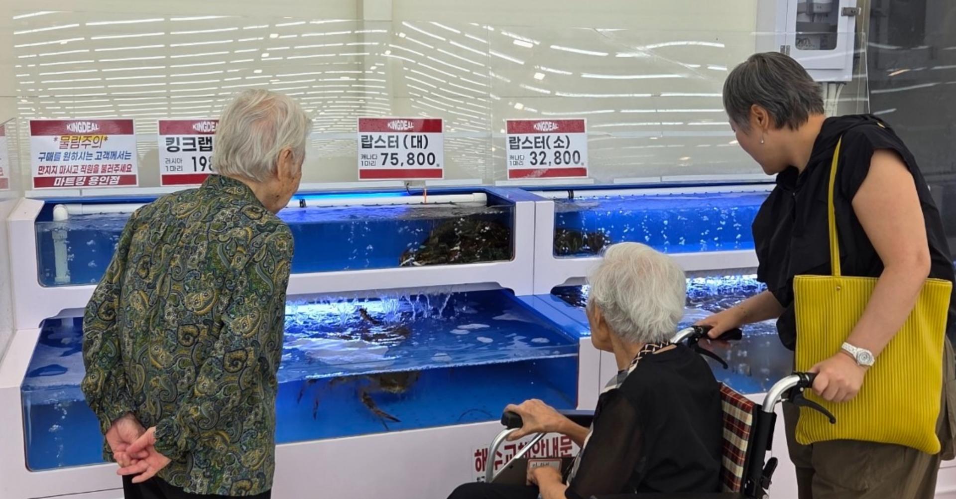 사회활동 프로그램