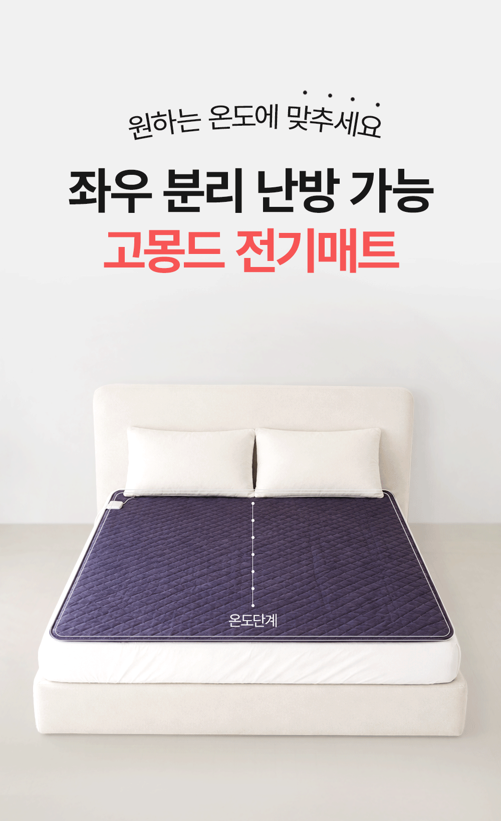 [BEST] 고몽드 베스트셀러 특가 세트