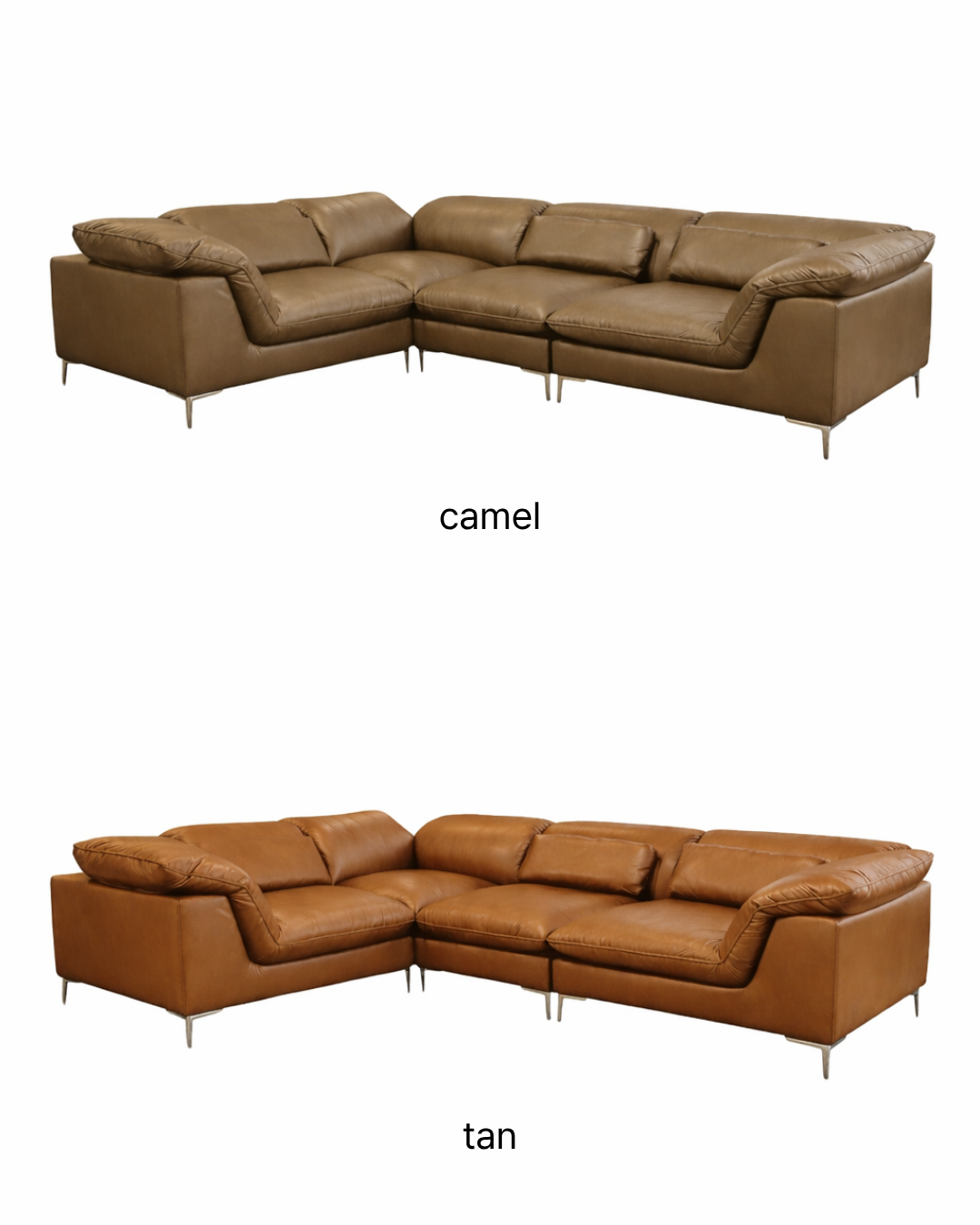 Contempo