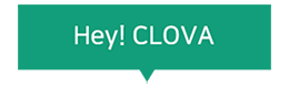 CLOVA Service Experience