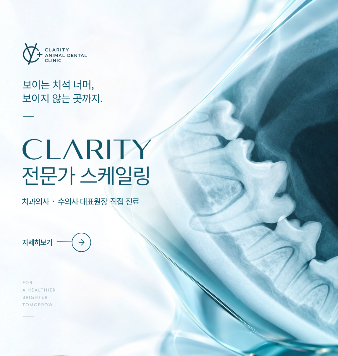 CLARITY 전문가 스케일링. 보이는 치석 너머, 보이지 않는 곳까지. 치과의사·수의사 대표원장 직접 진료. 자세히 보기.