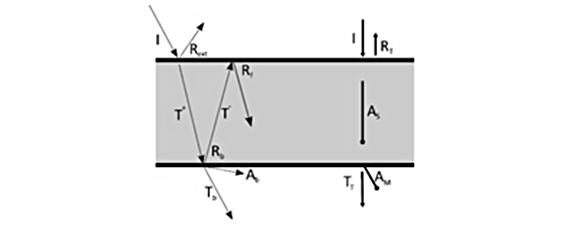 2a8a99fd131f2.jpg