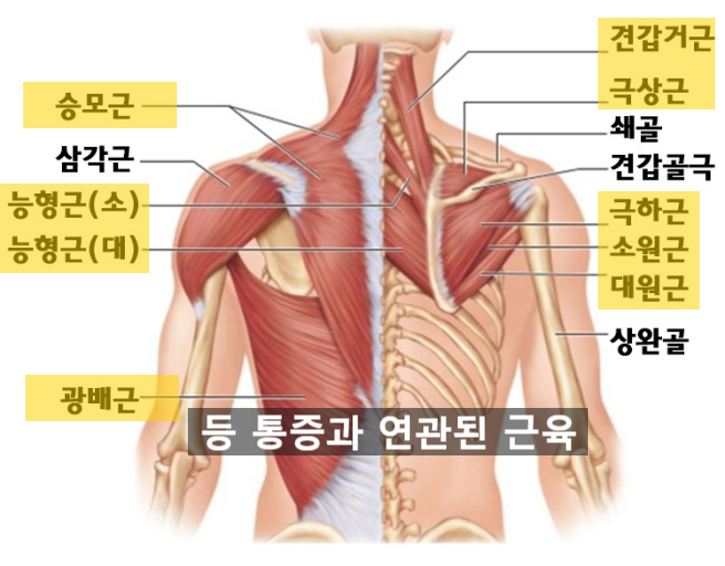 f01a962481d65.png