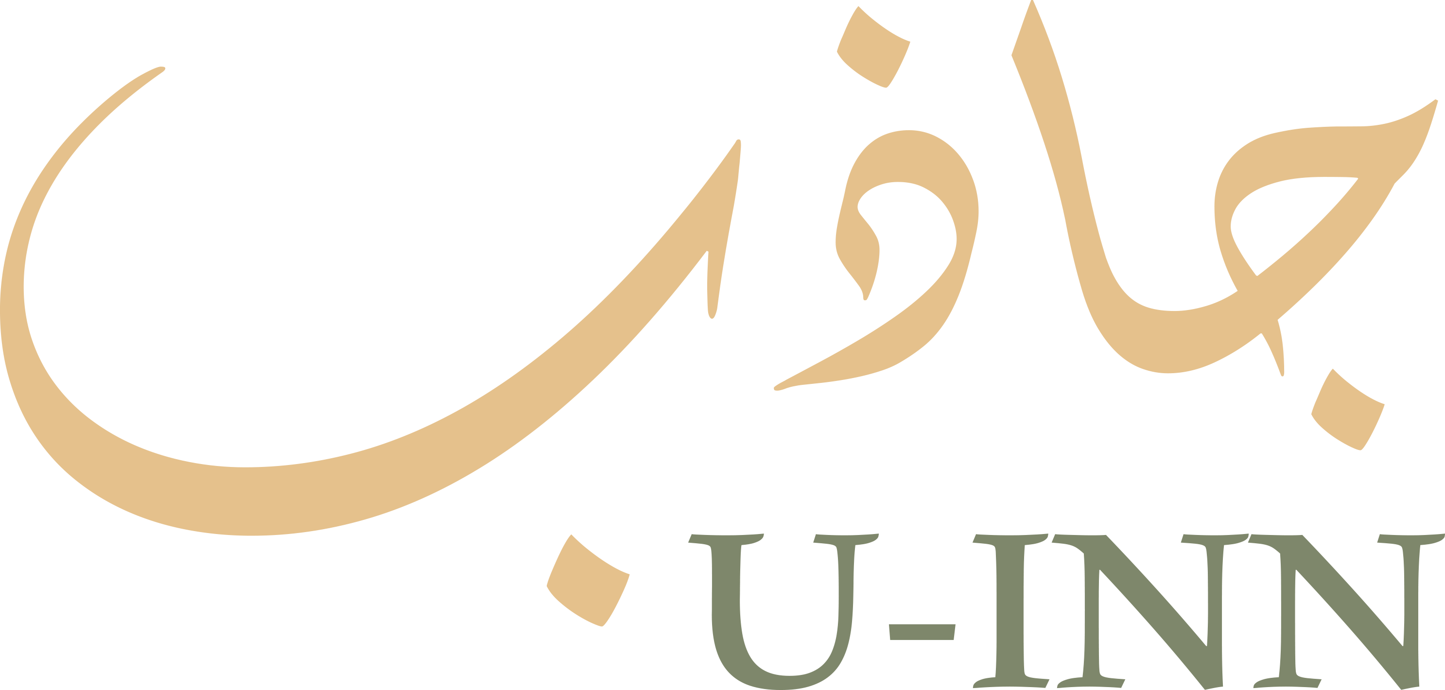 U-INN (유인)