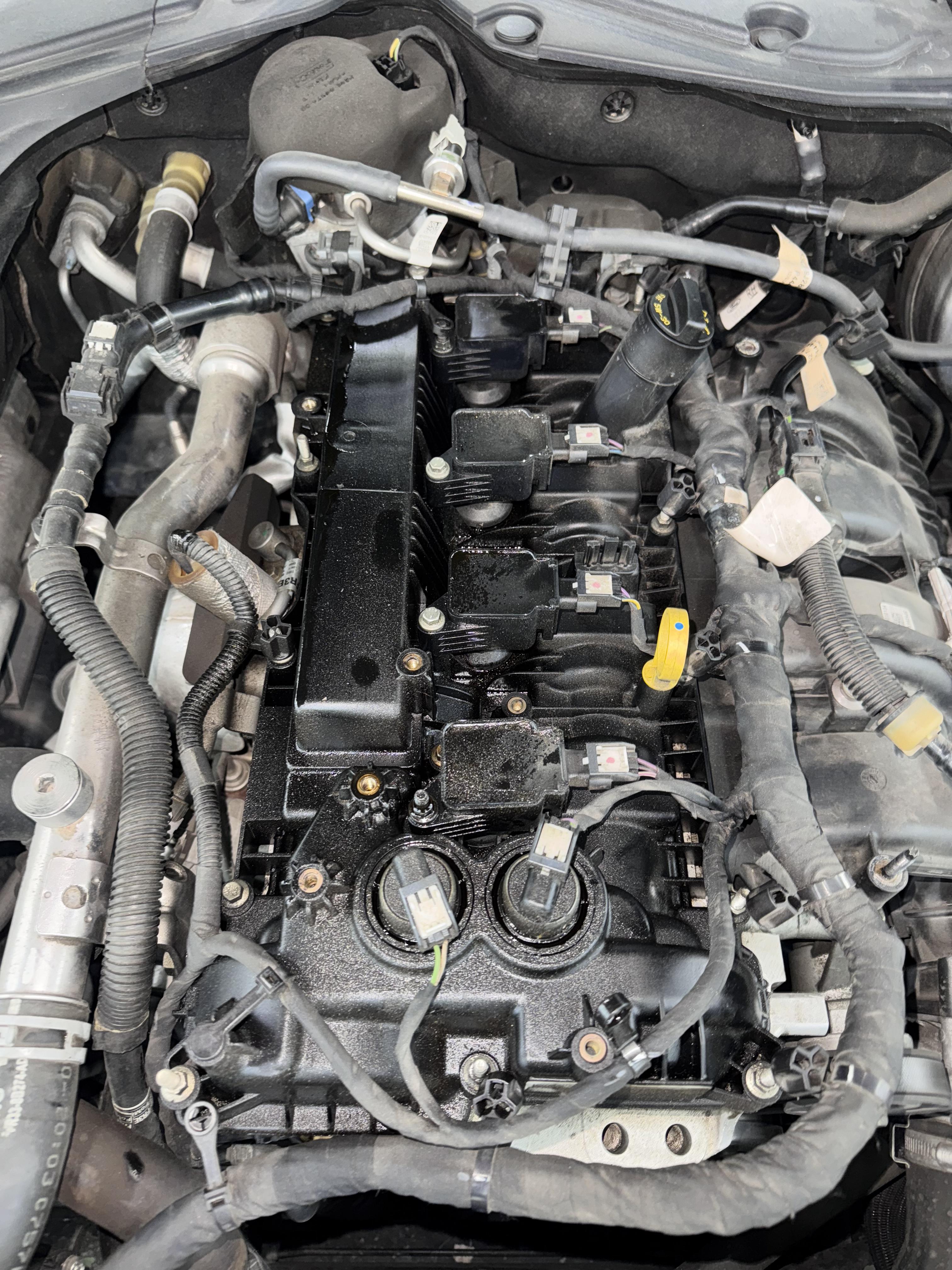1cdd40793c2ff.jpg