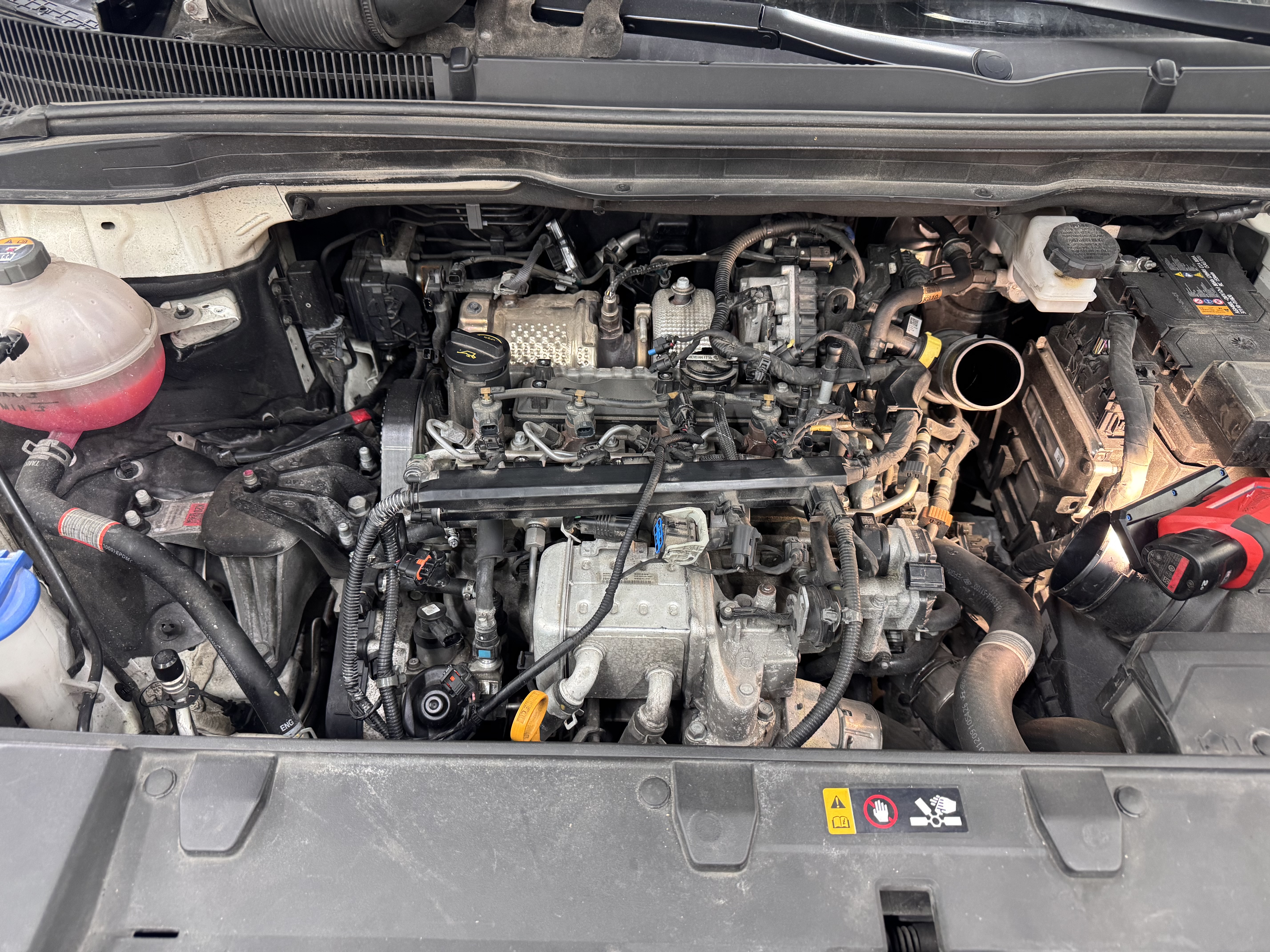 ada5f6d616f29.jpg