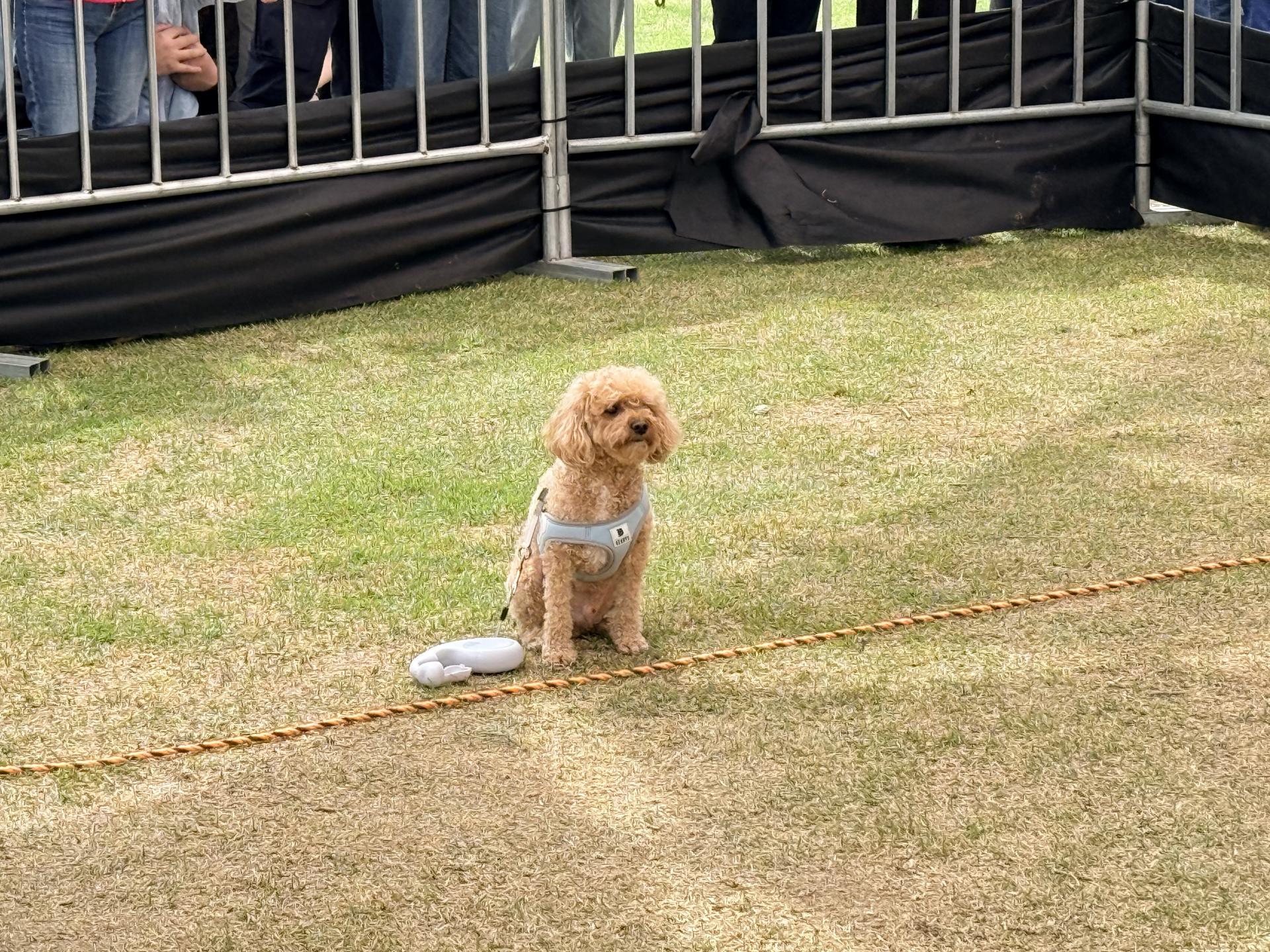 c6a0f3595c3ae.jpg