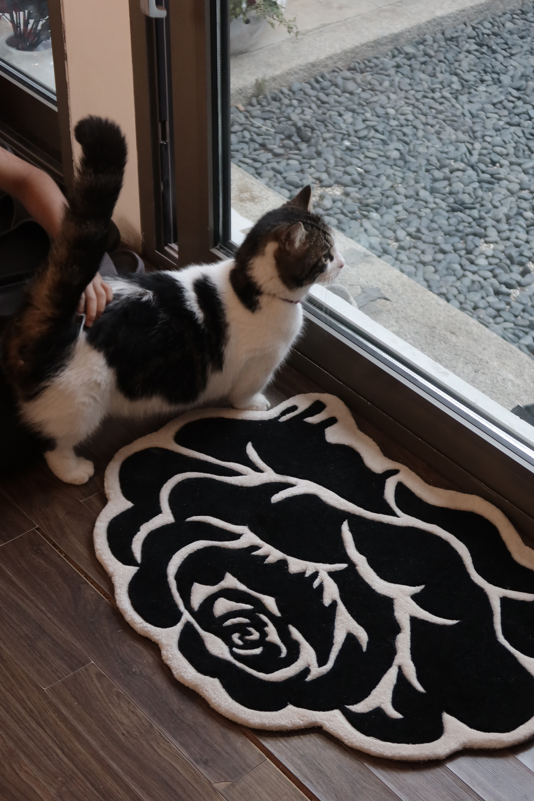 [Pre-order ~6.7] Roses in Flux / Art Rug / Edition 01 by Mond Kim