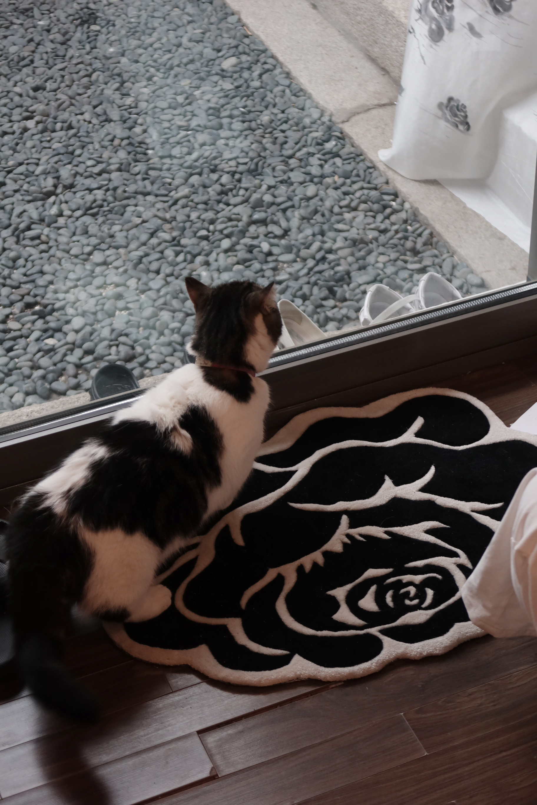 [Pre-order ~6.7] Roses in Flux / Art Rug / Edition 01 by Mond Kim