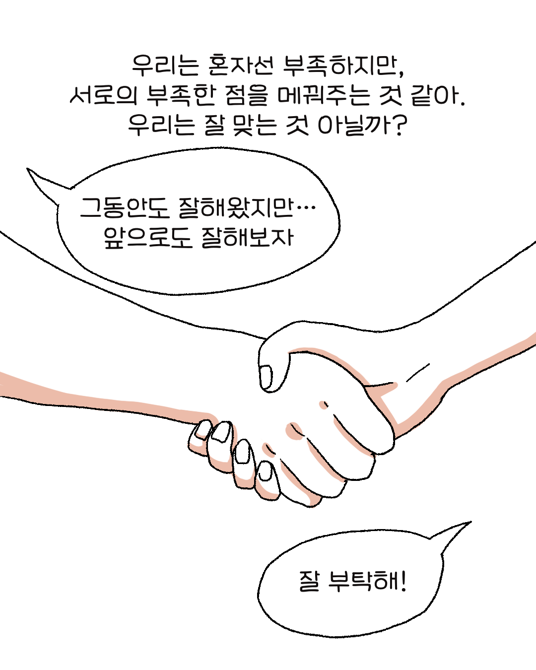 213a5584bfba9.png