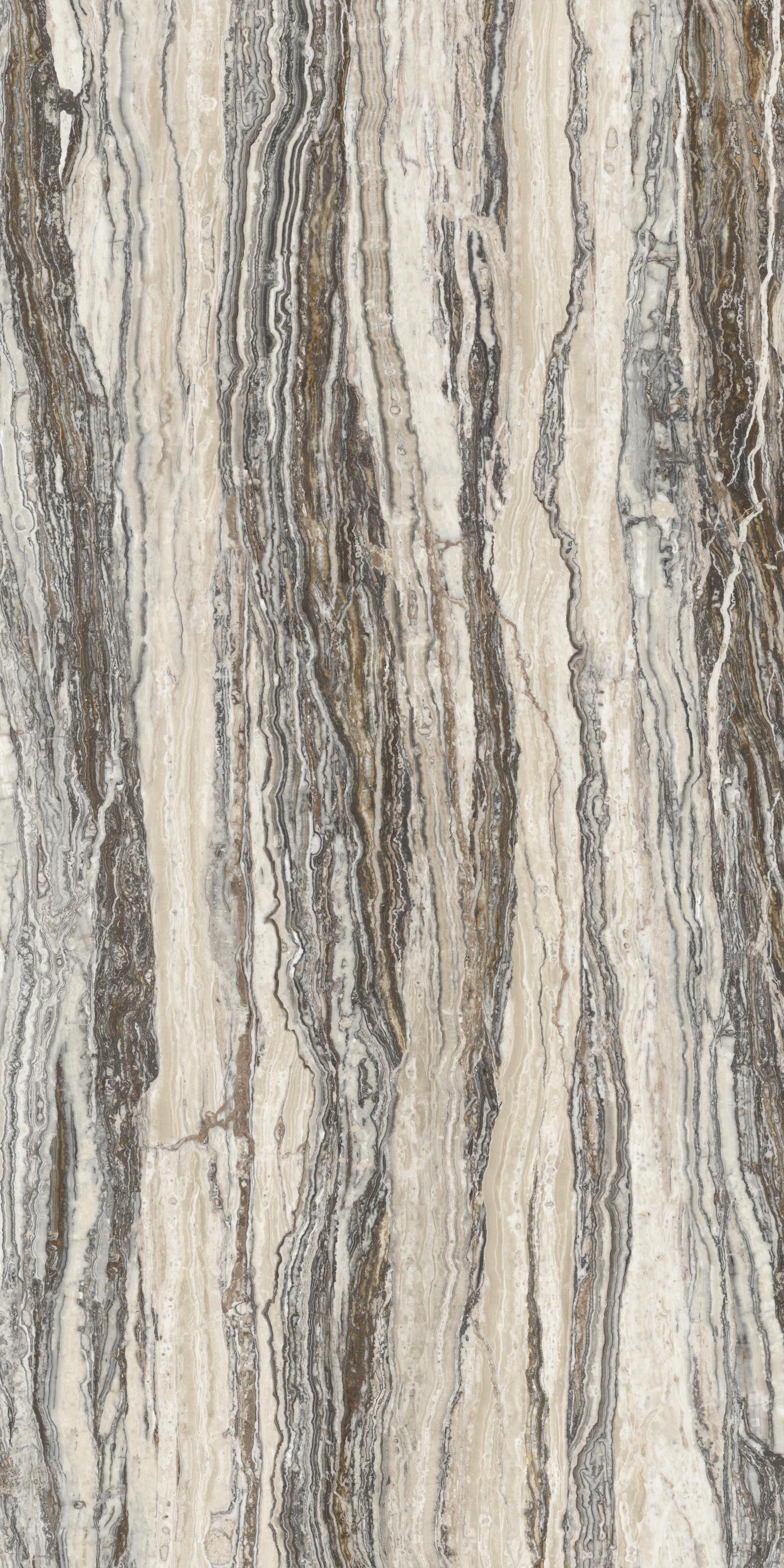 #51&52 티라미수