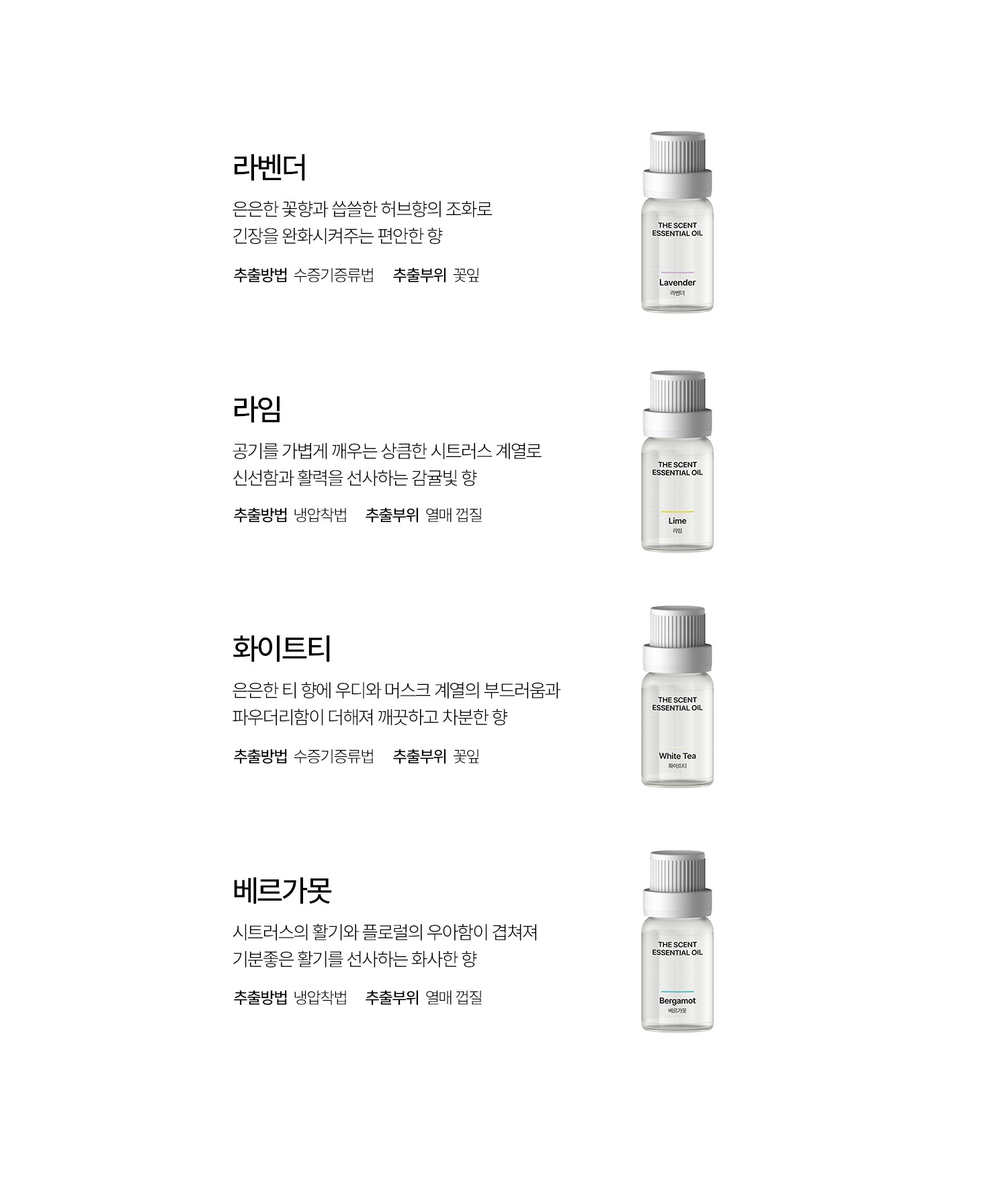 LUMENA THE SCENT AD1
