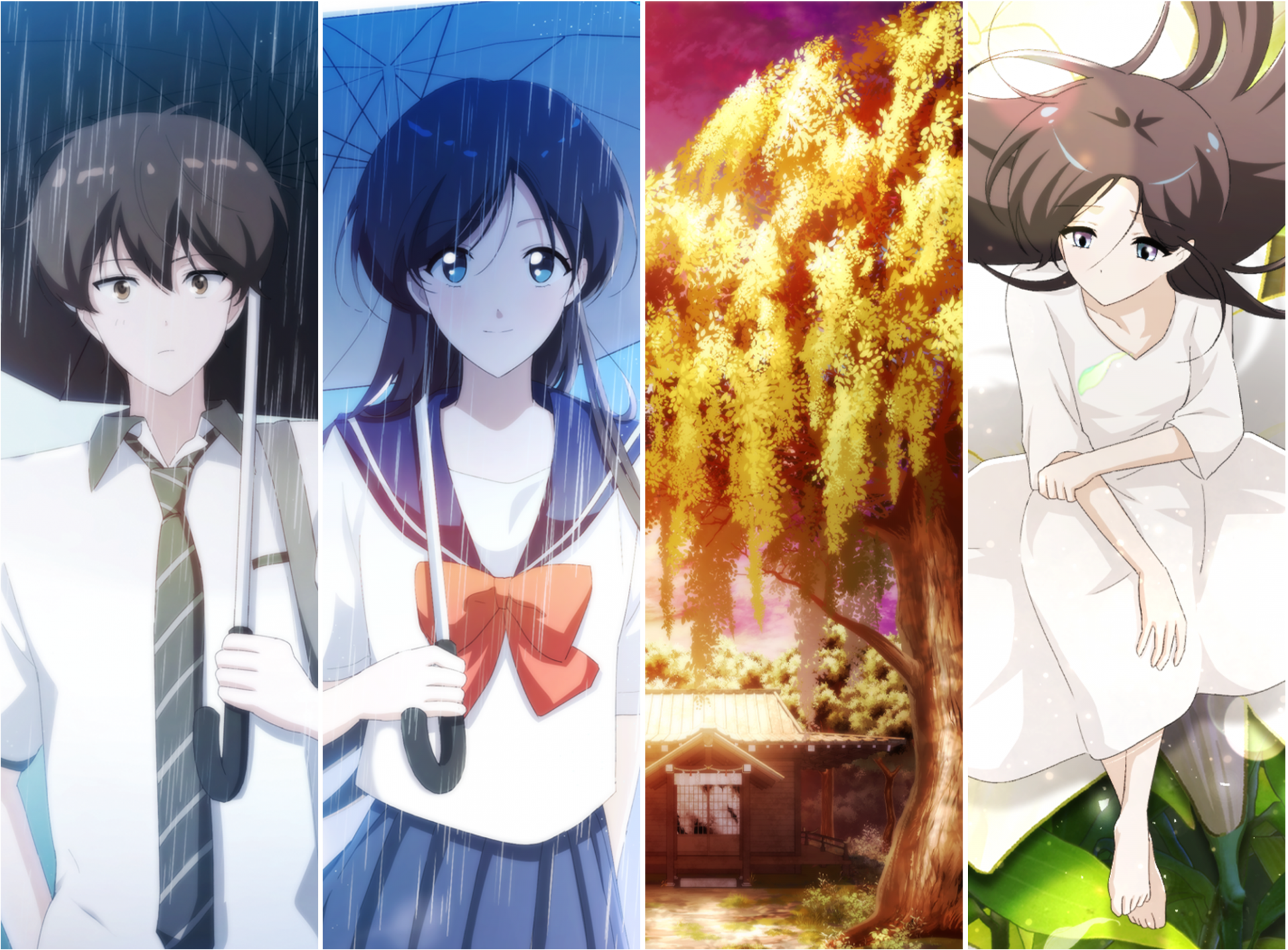 55044fe53f23e.png