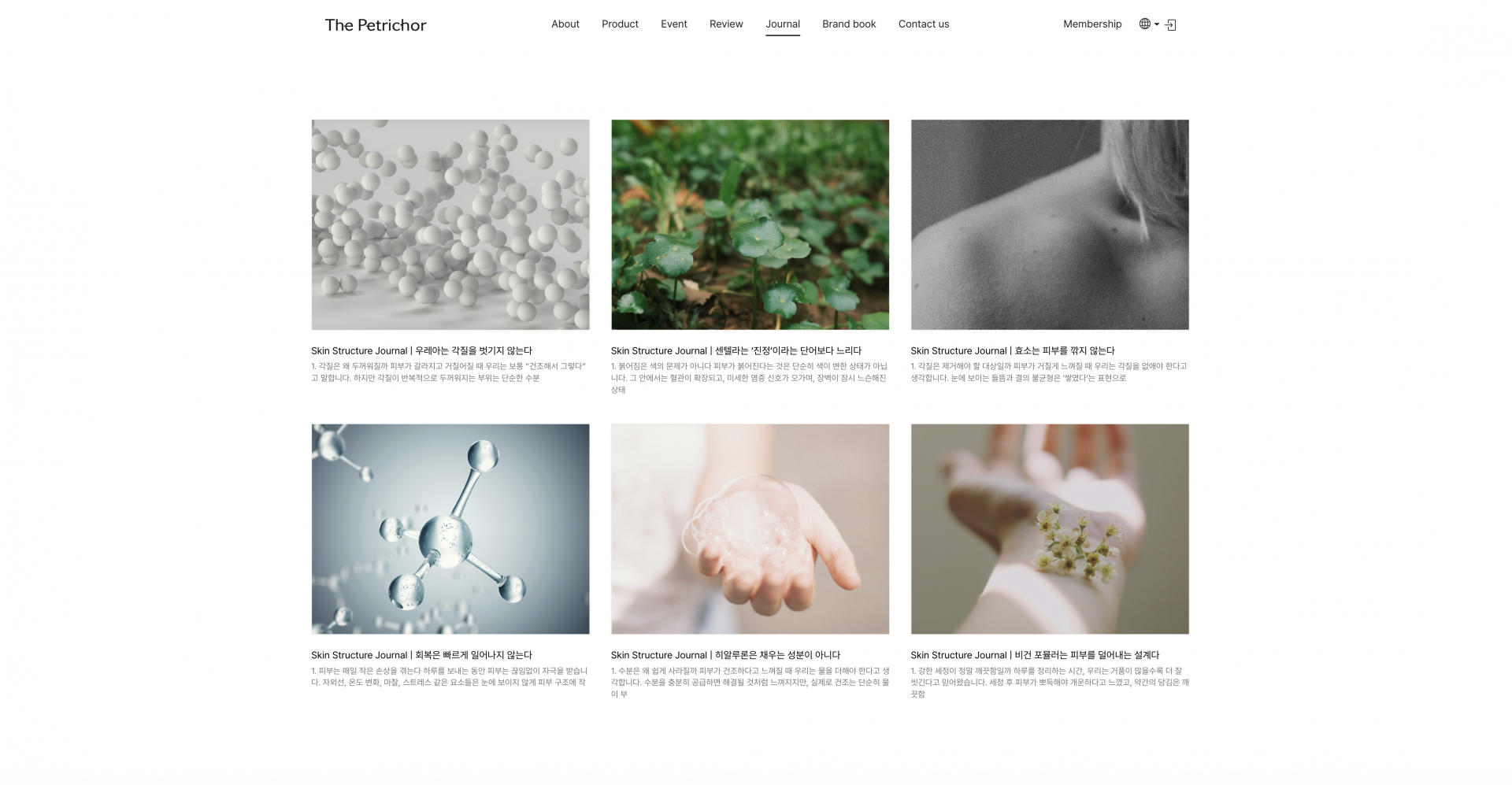 THE PETRICHOR project strategy 1