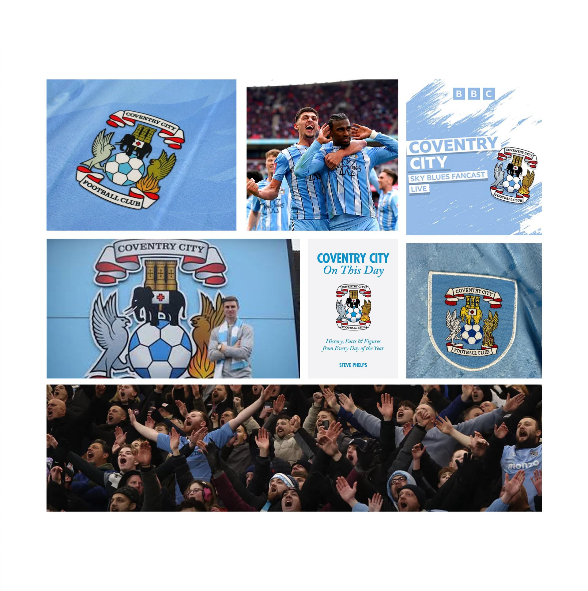 Existing Coventry City crest application 1