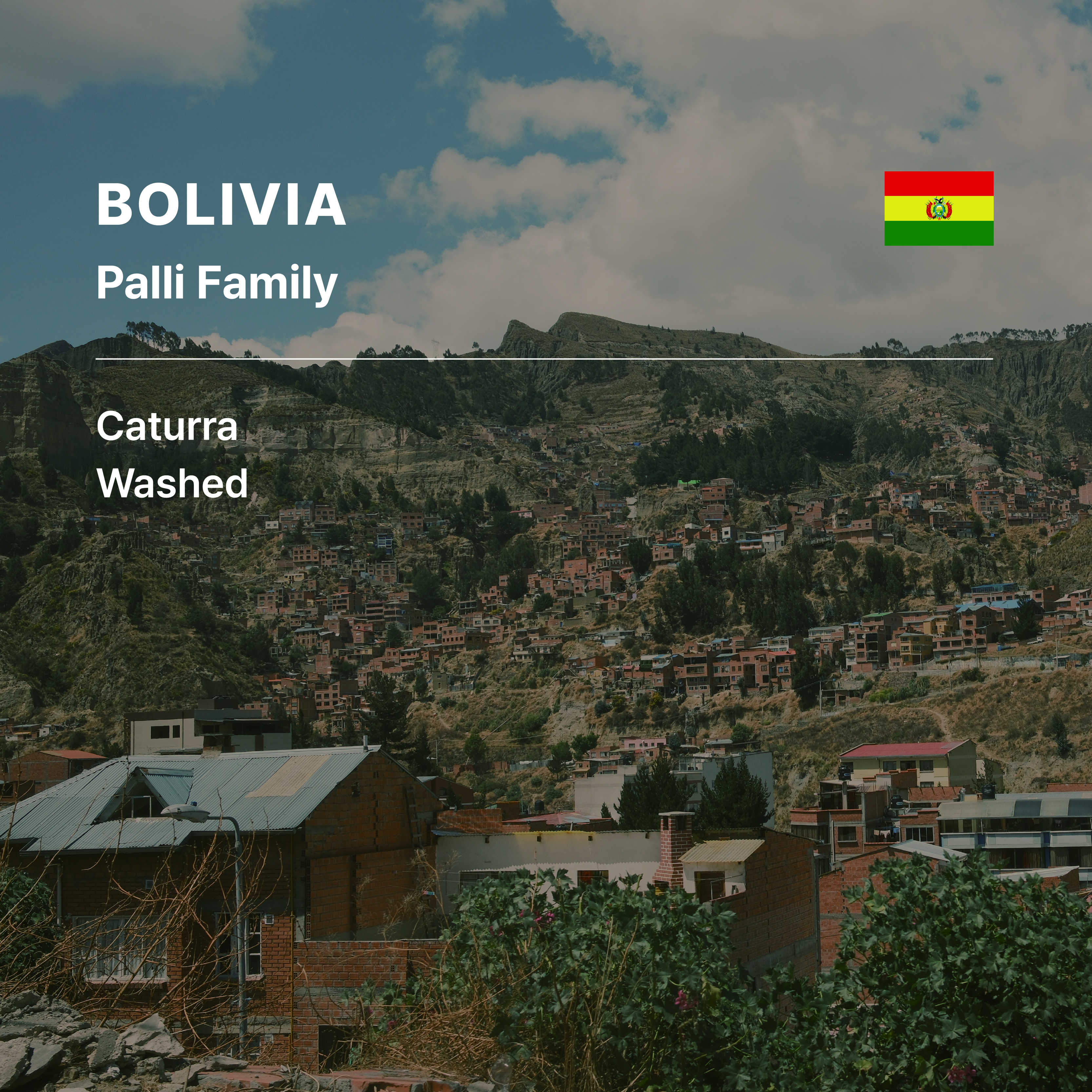 Bolivia Palli Family Caturra Washed