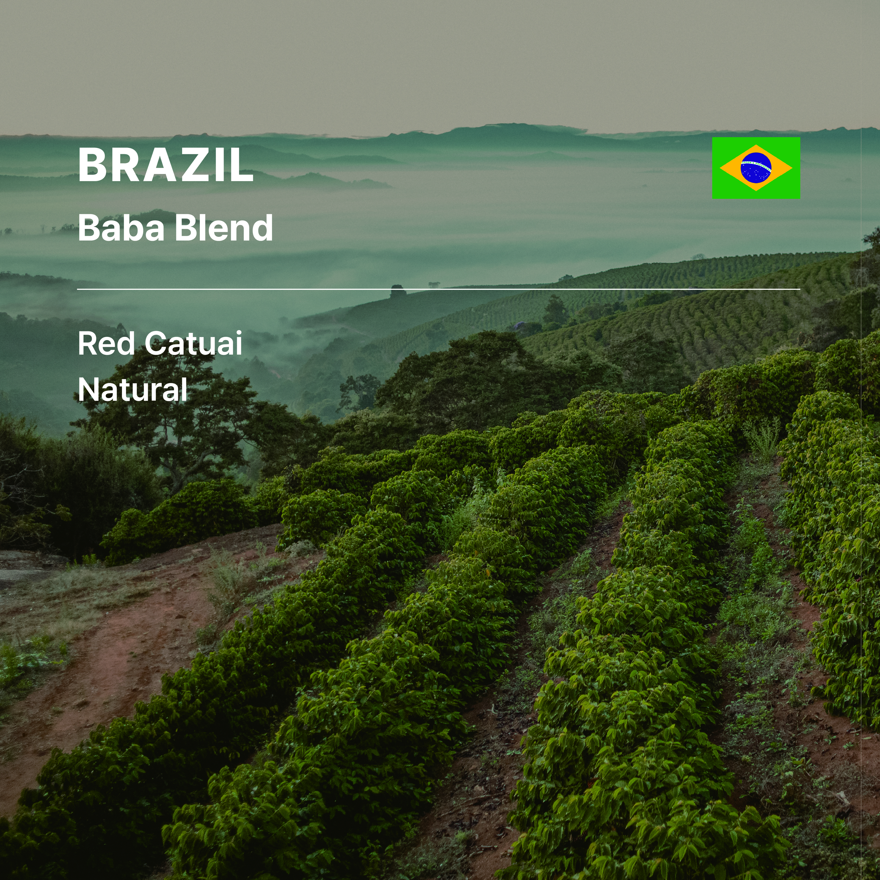 Brazil Baba Blend Red Catuai Natural