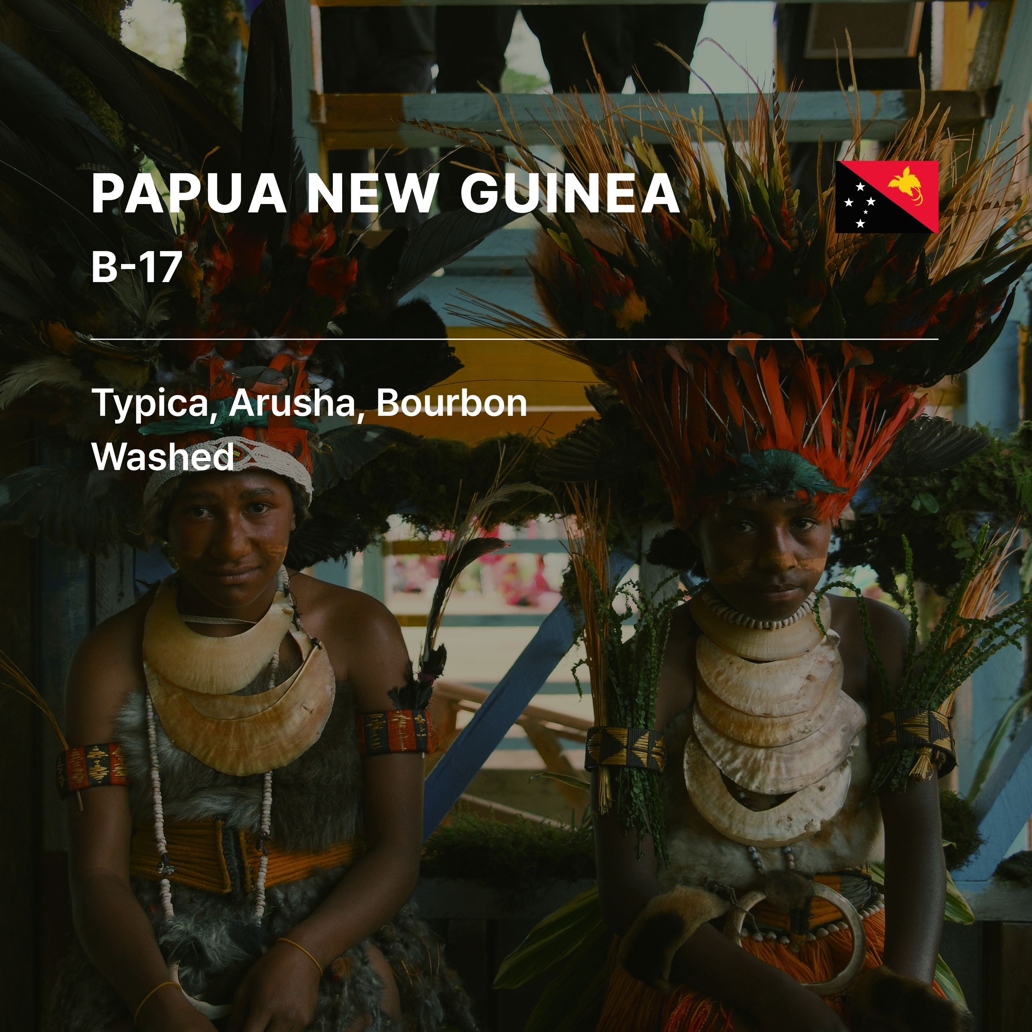Papua New Guinea B-17