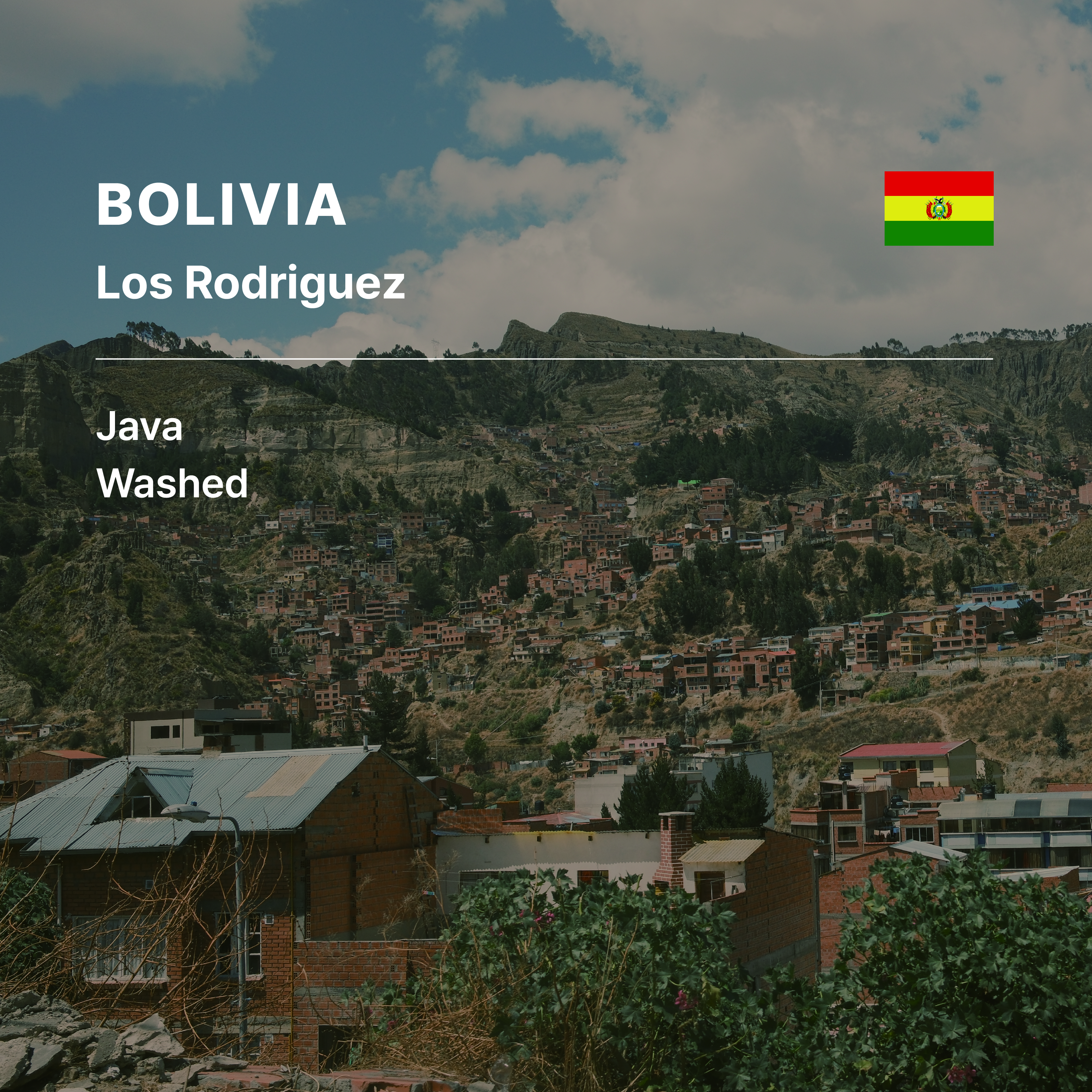 Bolivia Los Rodriguez Java Washed