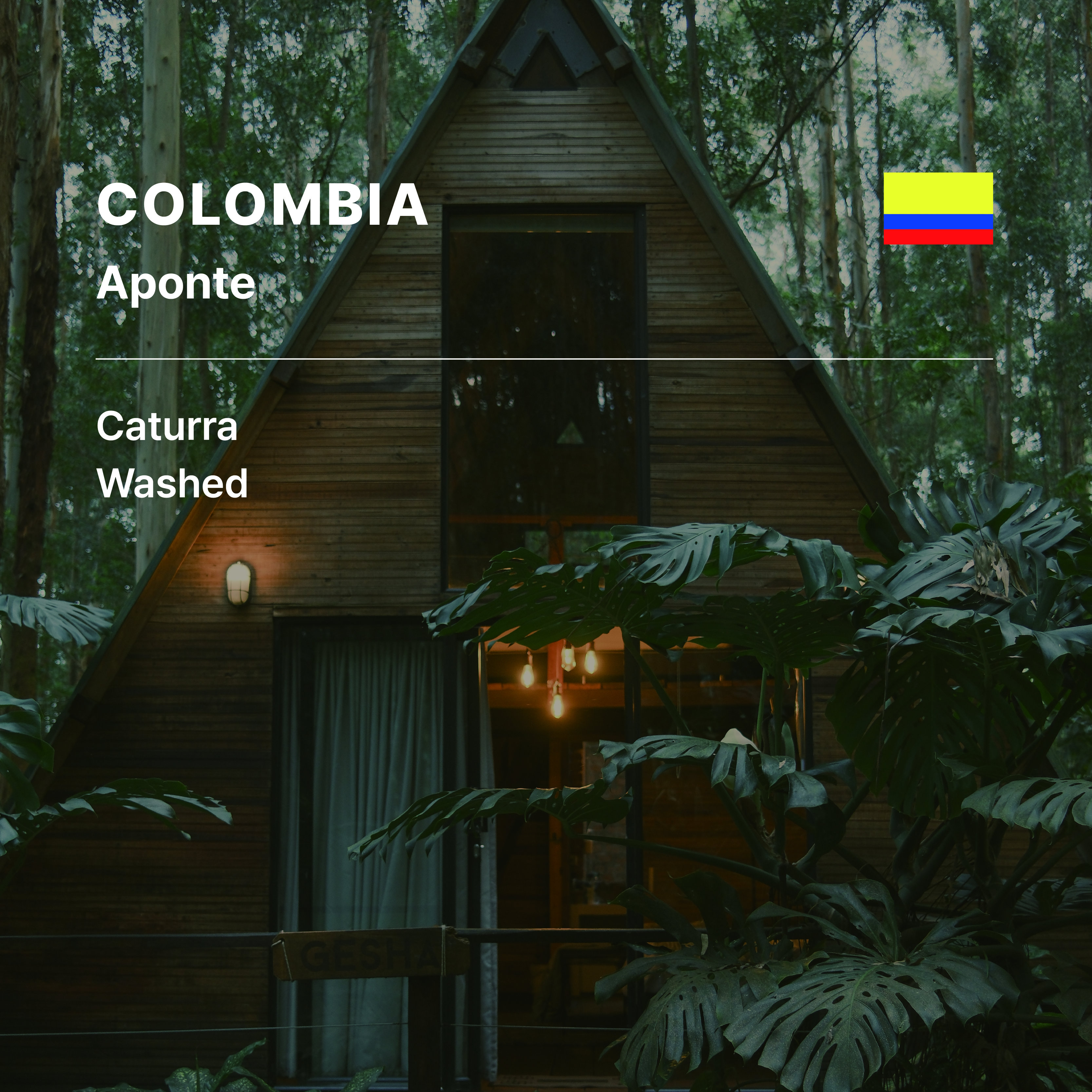 Colombia Aponte Caturra Washed