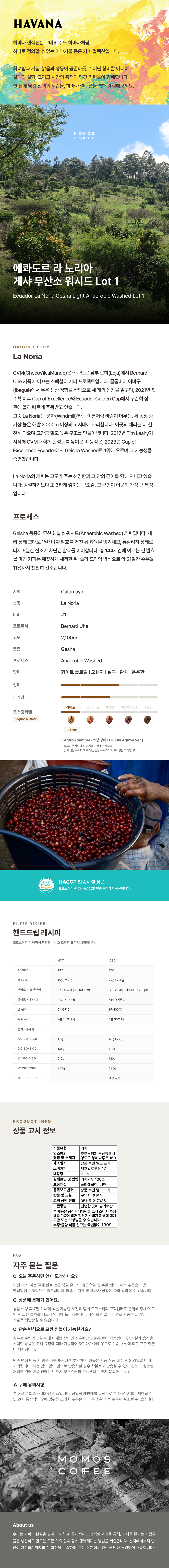 원두 에콰도르 라 노리아 게샤 무산소 워시드 Lot 1