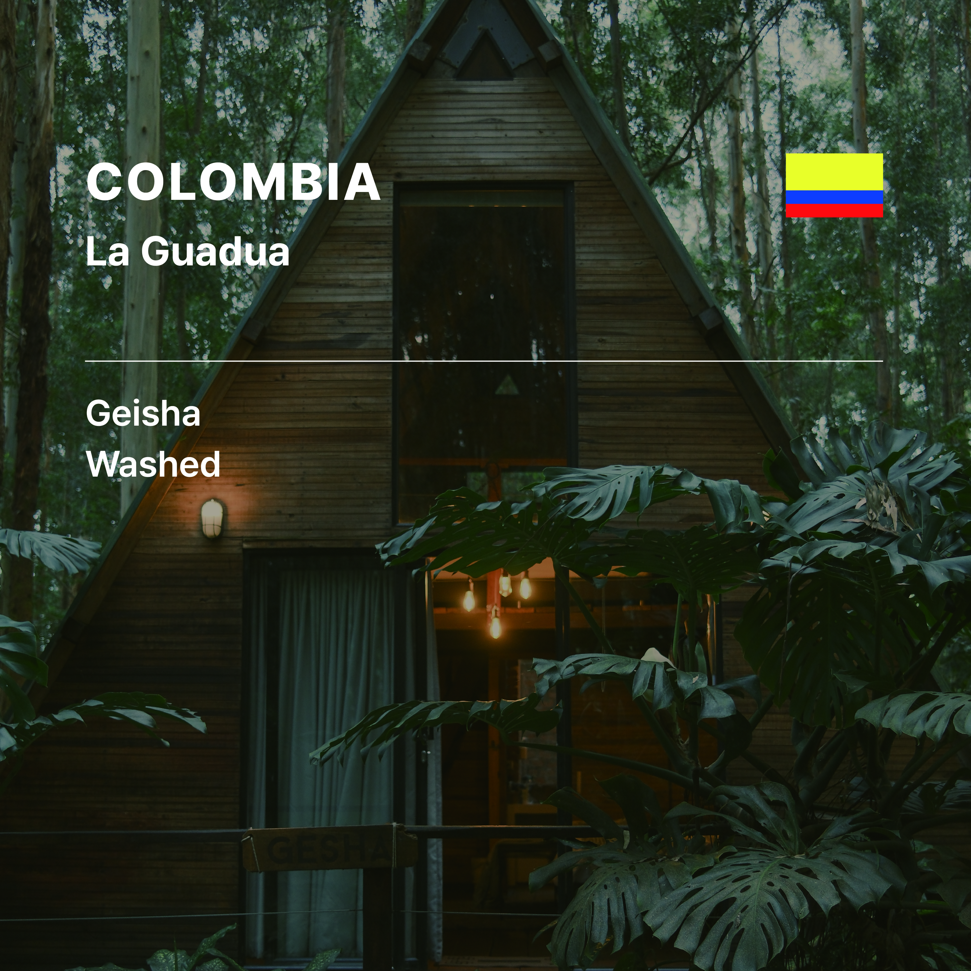 Colombia La Guadua Geisha Washed