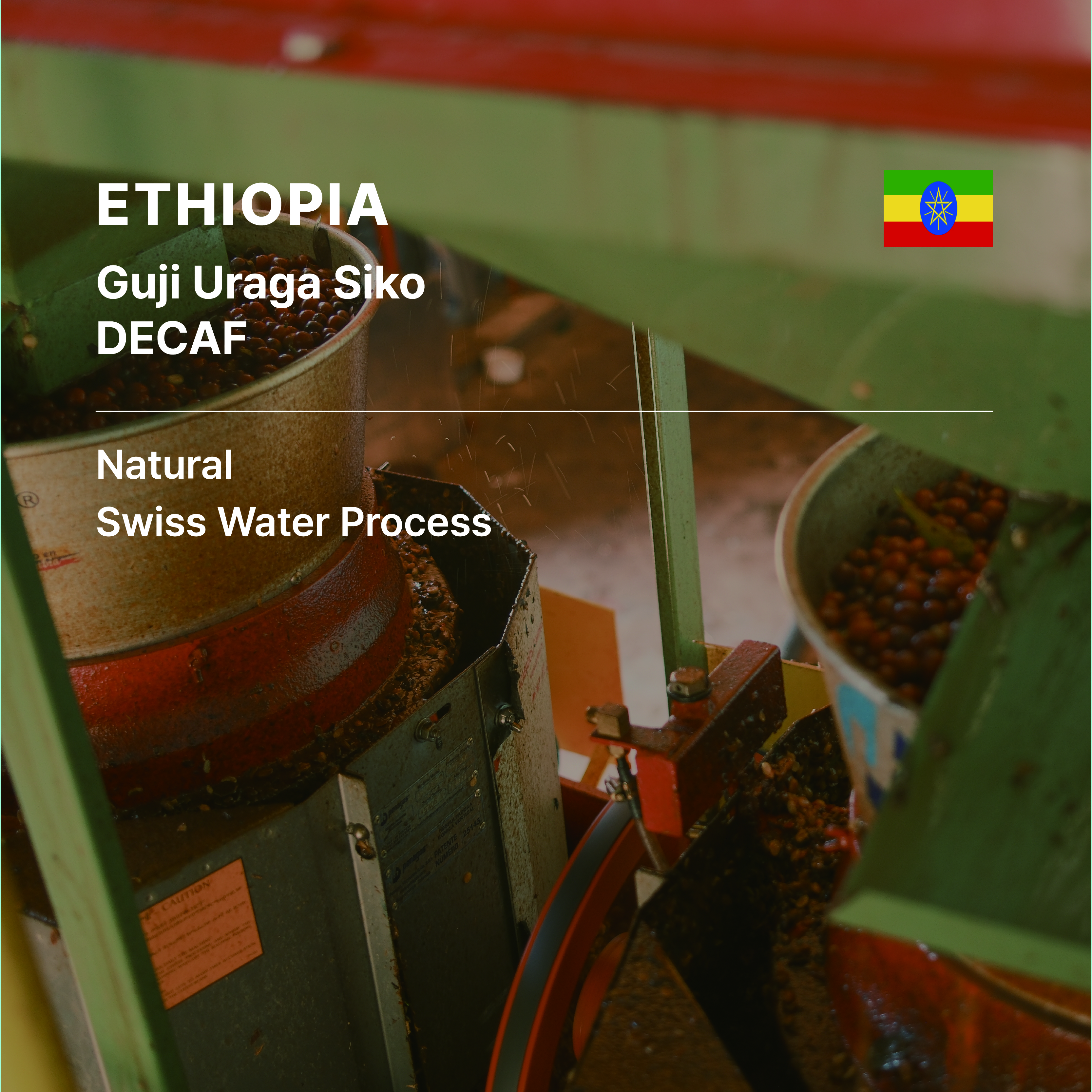 Ethiopia Guji Uraga Siko Natural Swiss Water DECAF