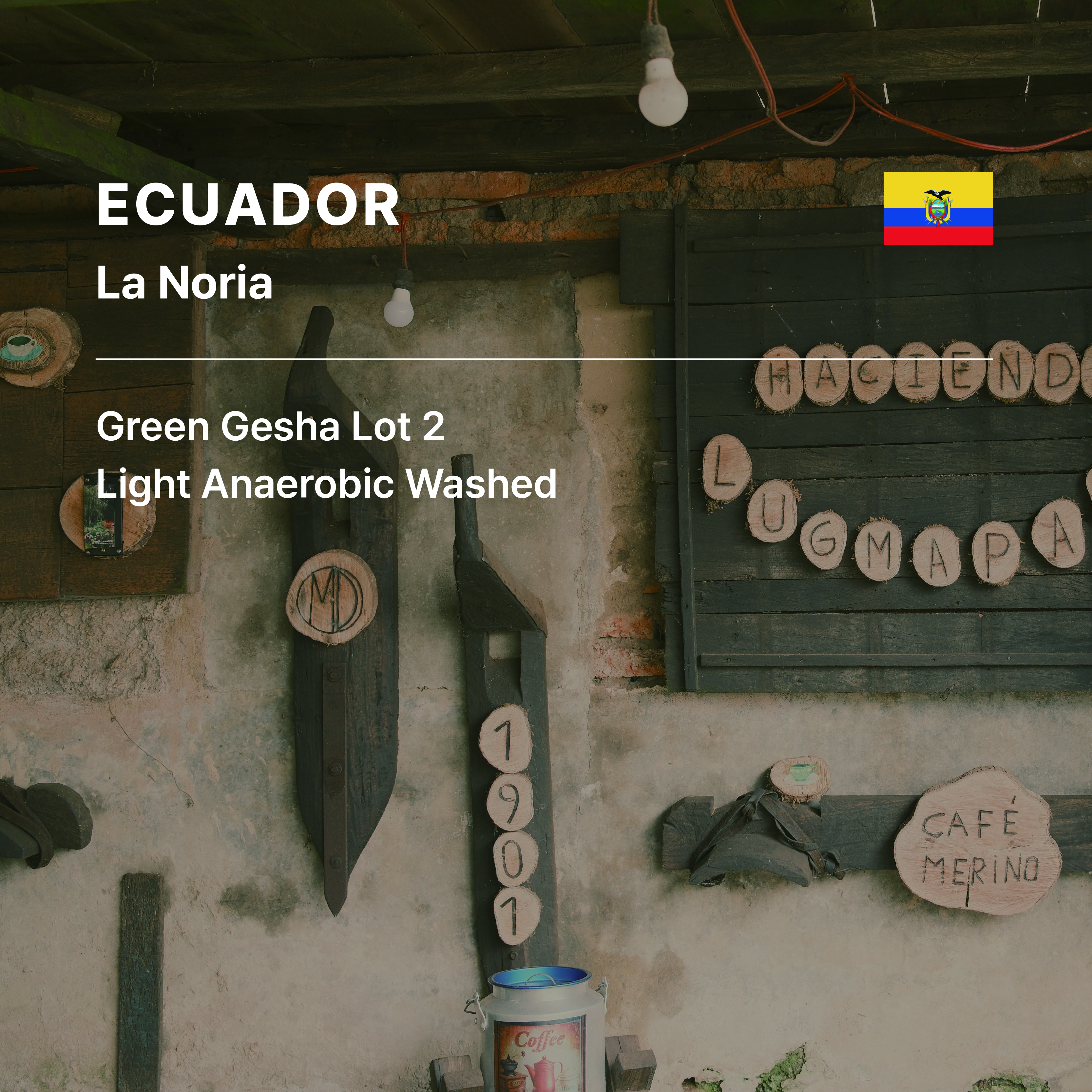 Ecuador La Noria Green Gesha Lot 2 LA Washed