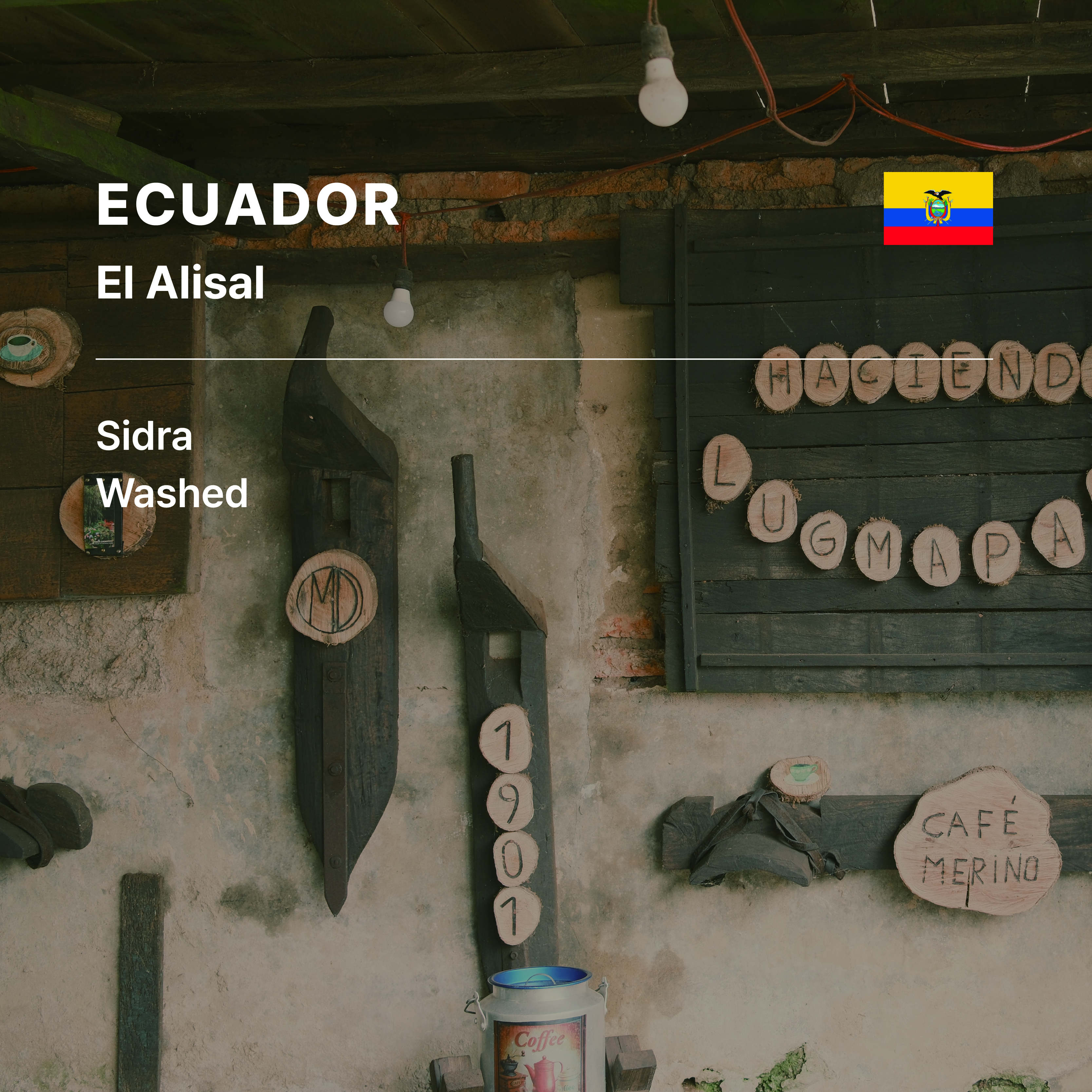 Ecuador El Alisal Sidra Washed
