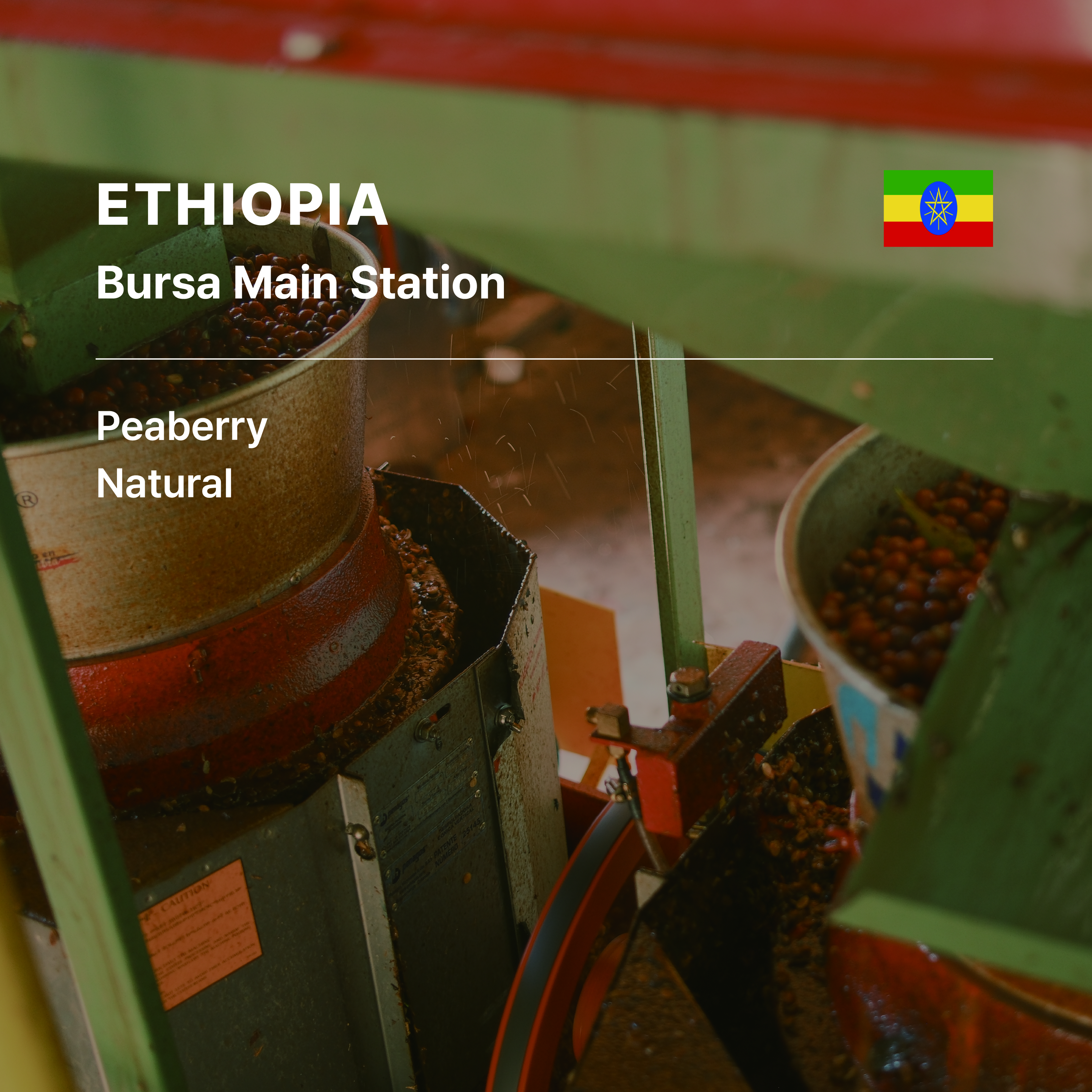 Ethiopia Bursa Main Station Peaberry G1 Natural
