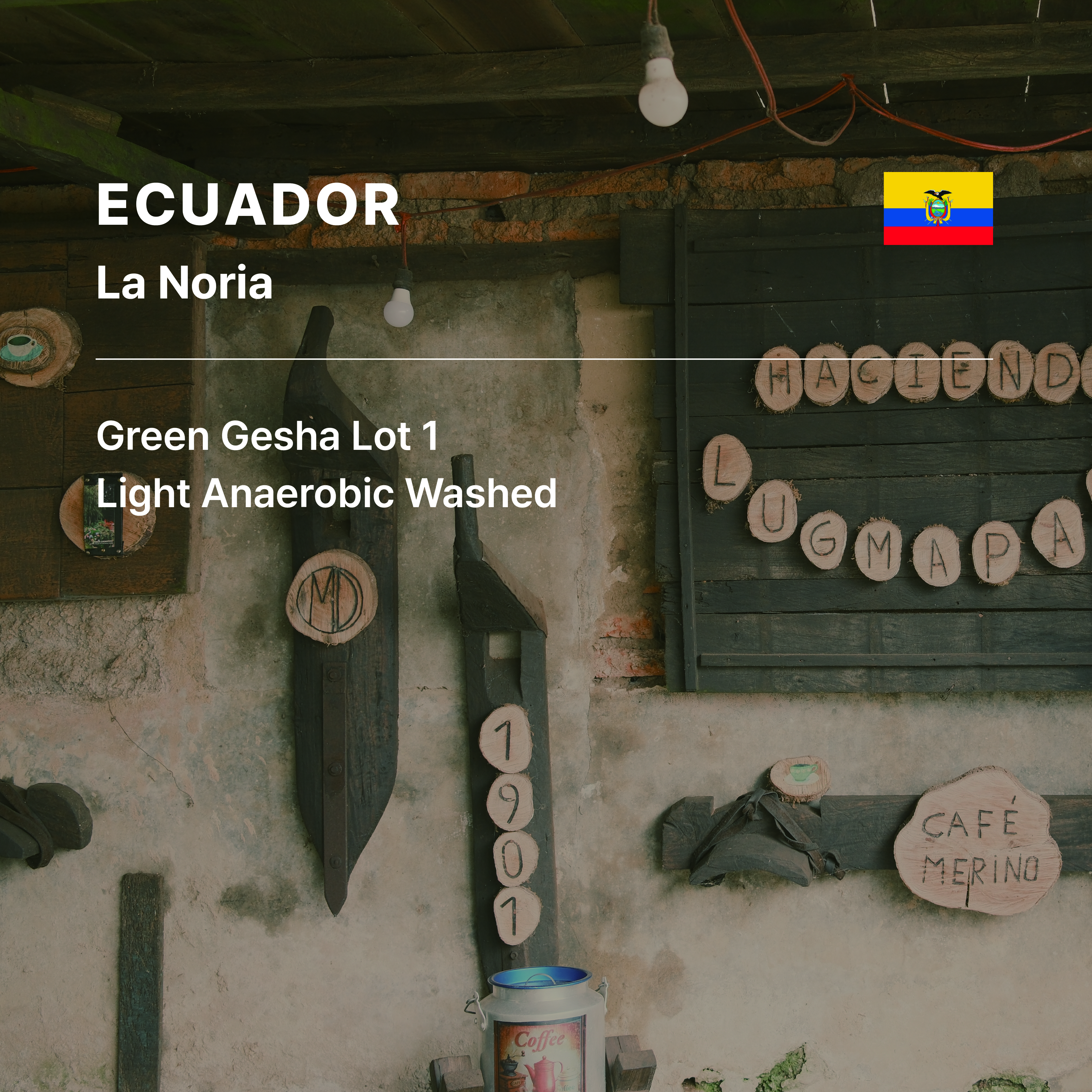 Ecuador La Noria Green Gesha Lot 1 LA Washed
