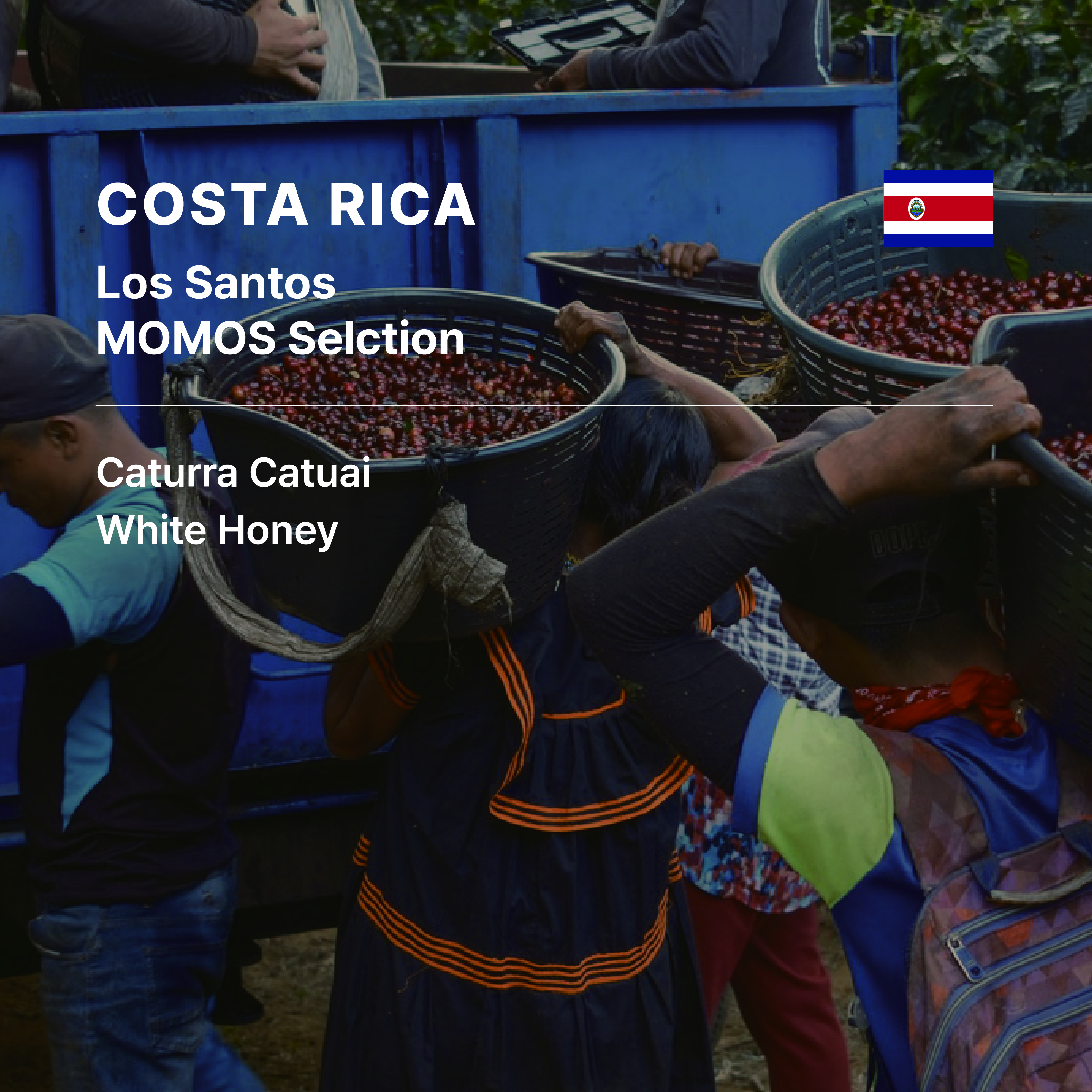 Costa Rica Los Santos Blend White Honey