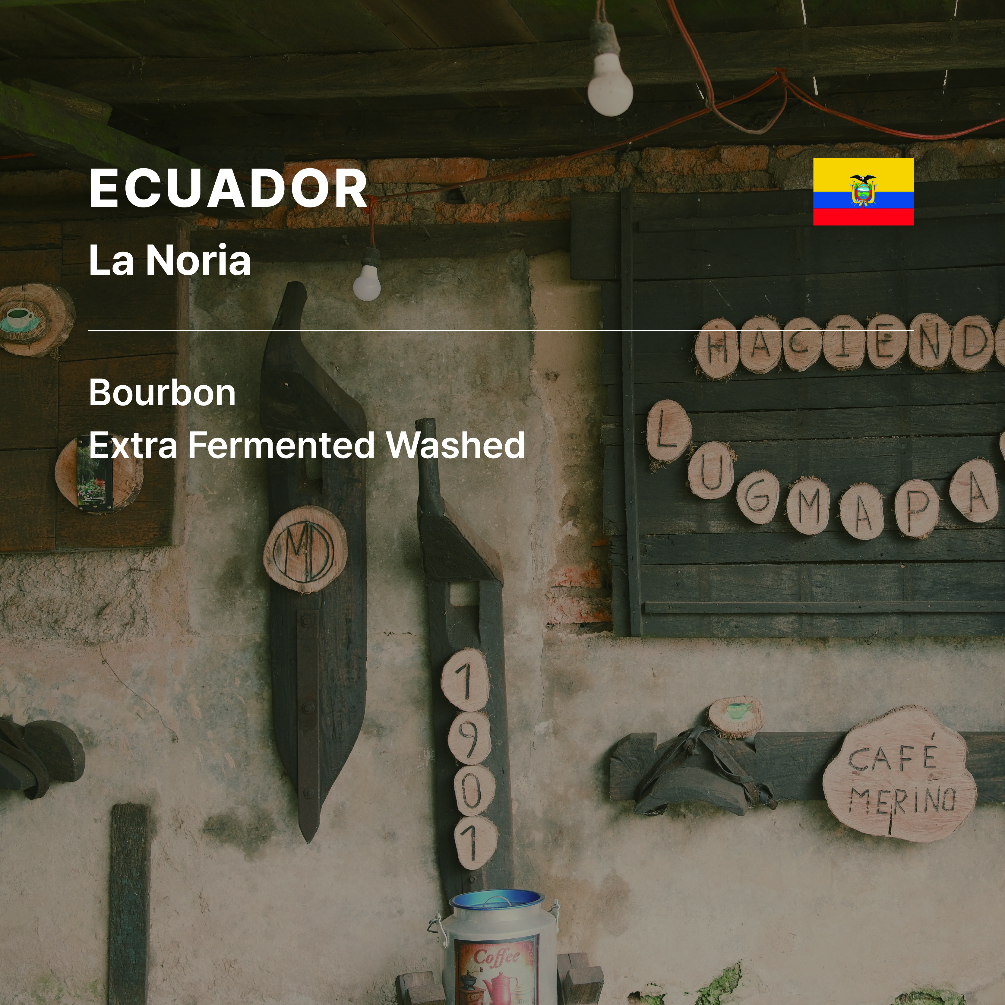 Ecuador La Noria Bourbon Lot 1 Extra Fermented Washed