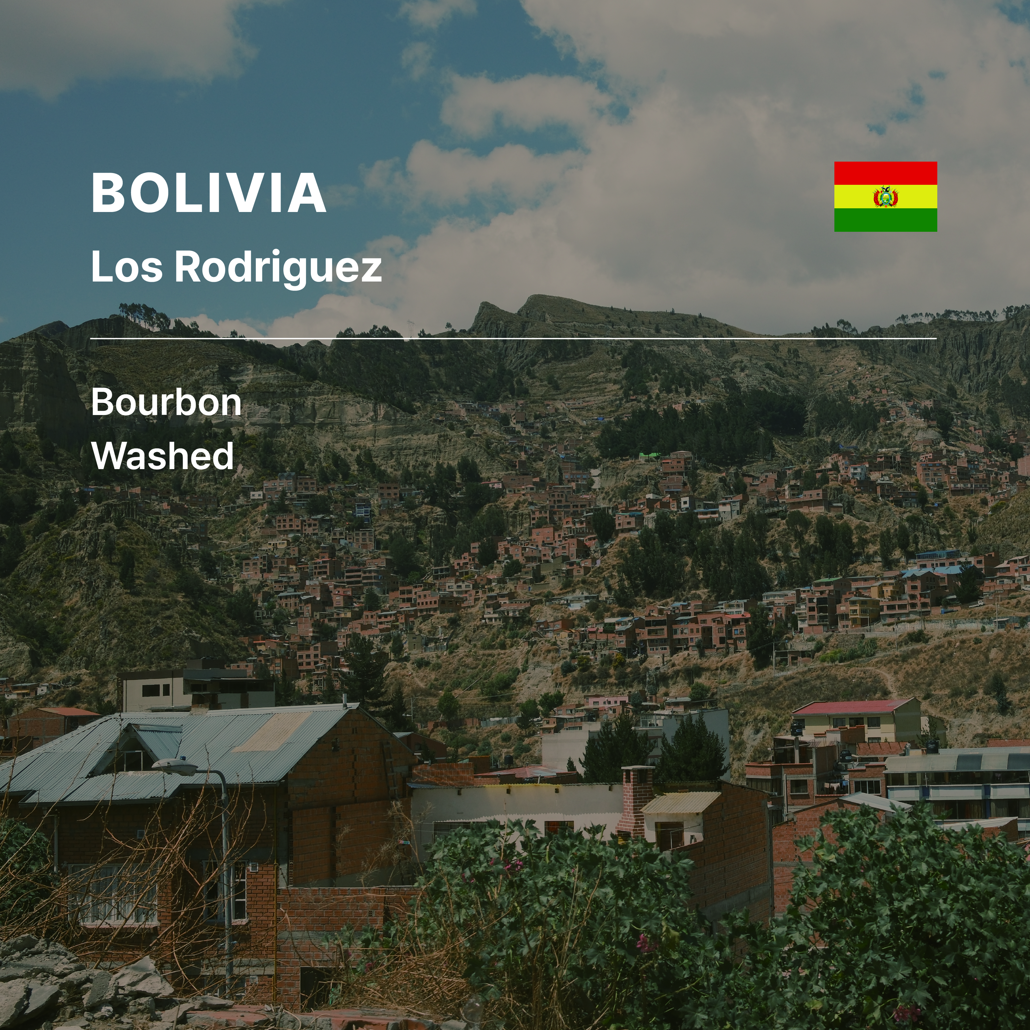 Bolivia Los Rodriguez Bourbon Washed
