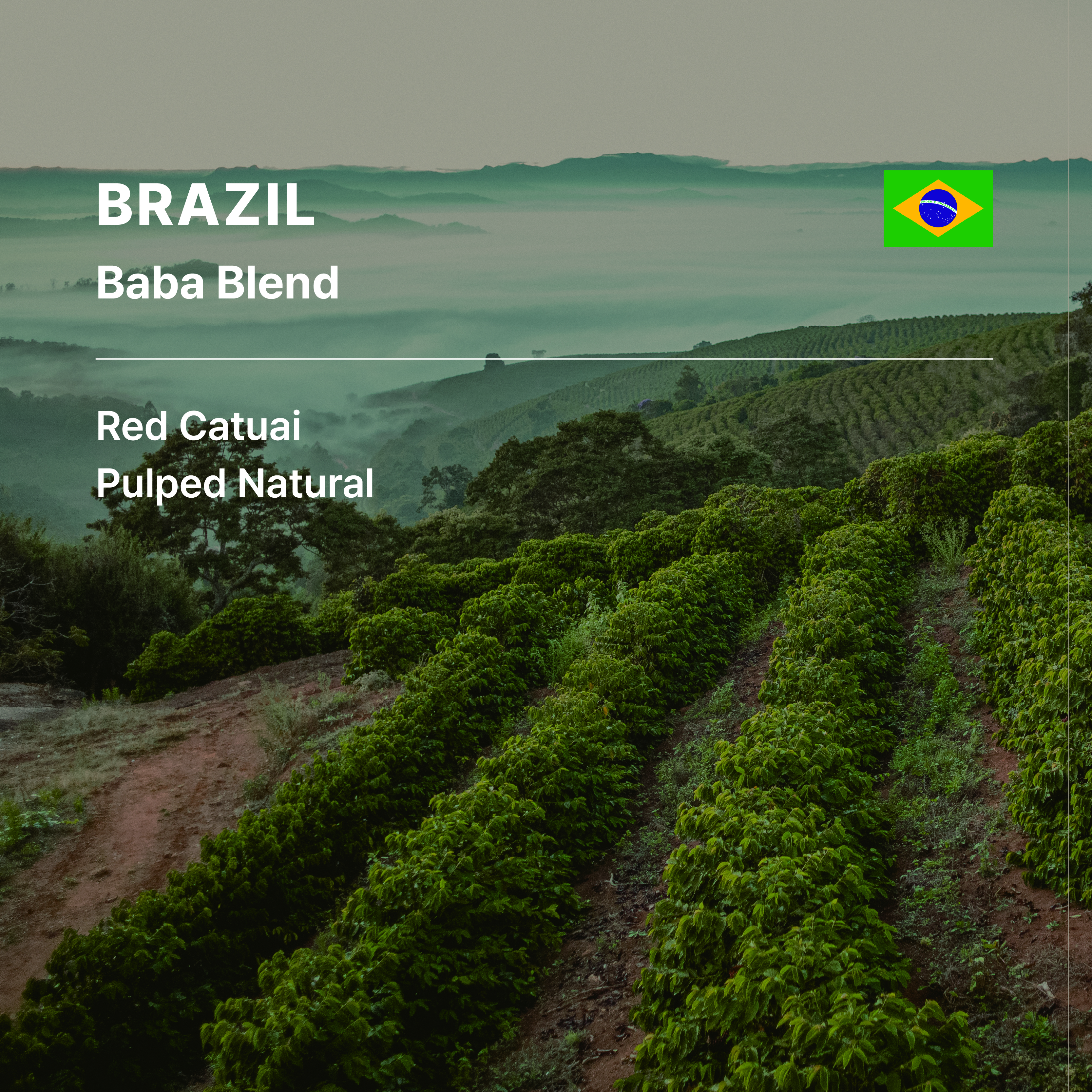 Baba Blend Red Catuai Pulped Natural