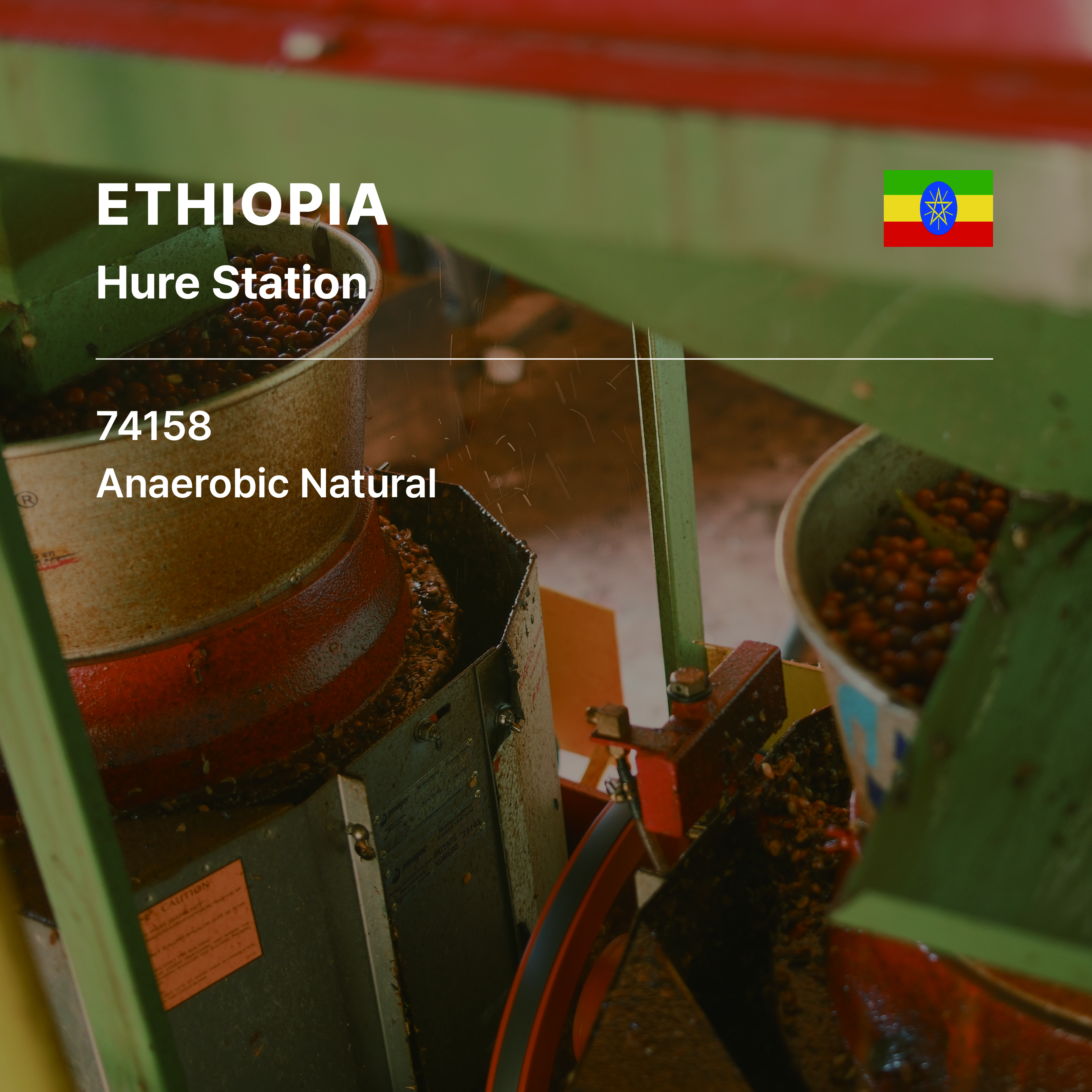Ethiopia Hure Station G1 Anaerobic Natural