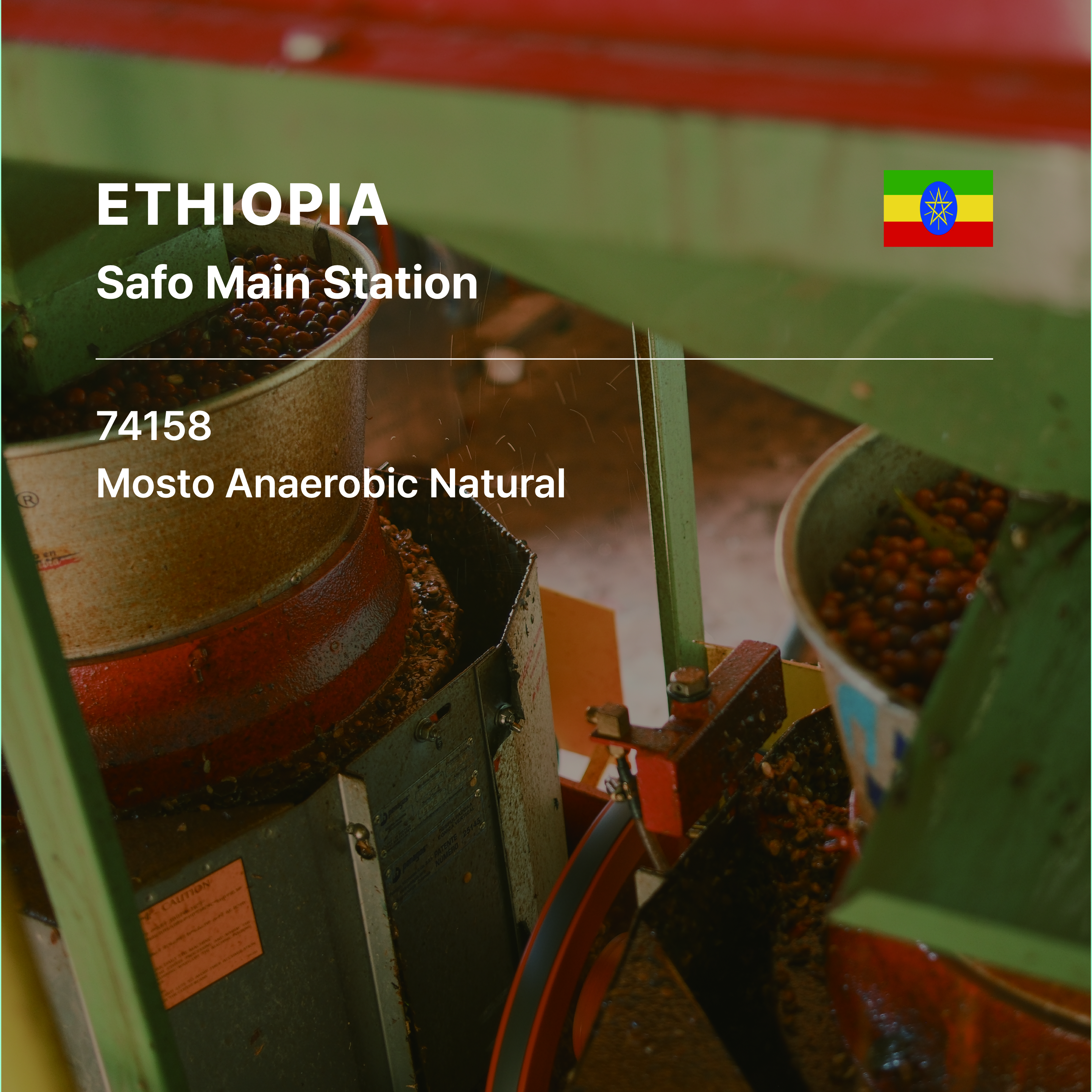 Ethiopia Safo Mosto Anaerobic Natural