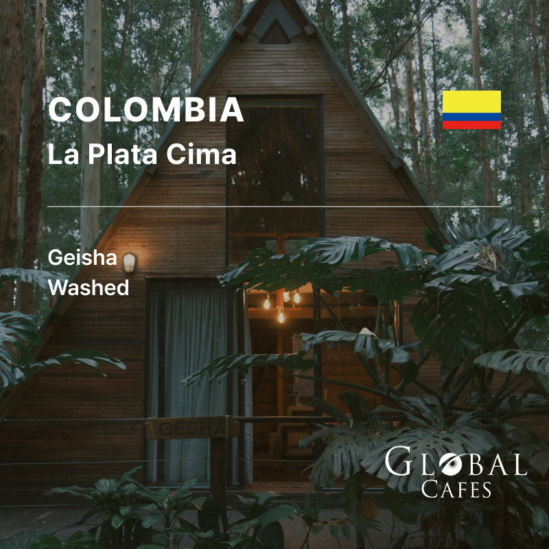 Colombia La Plata Cima Geisha Washed