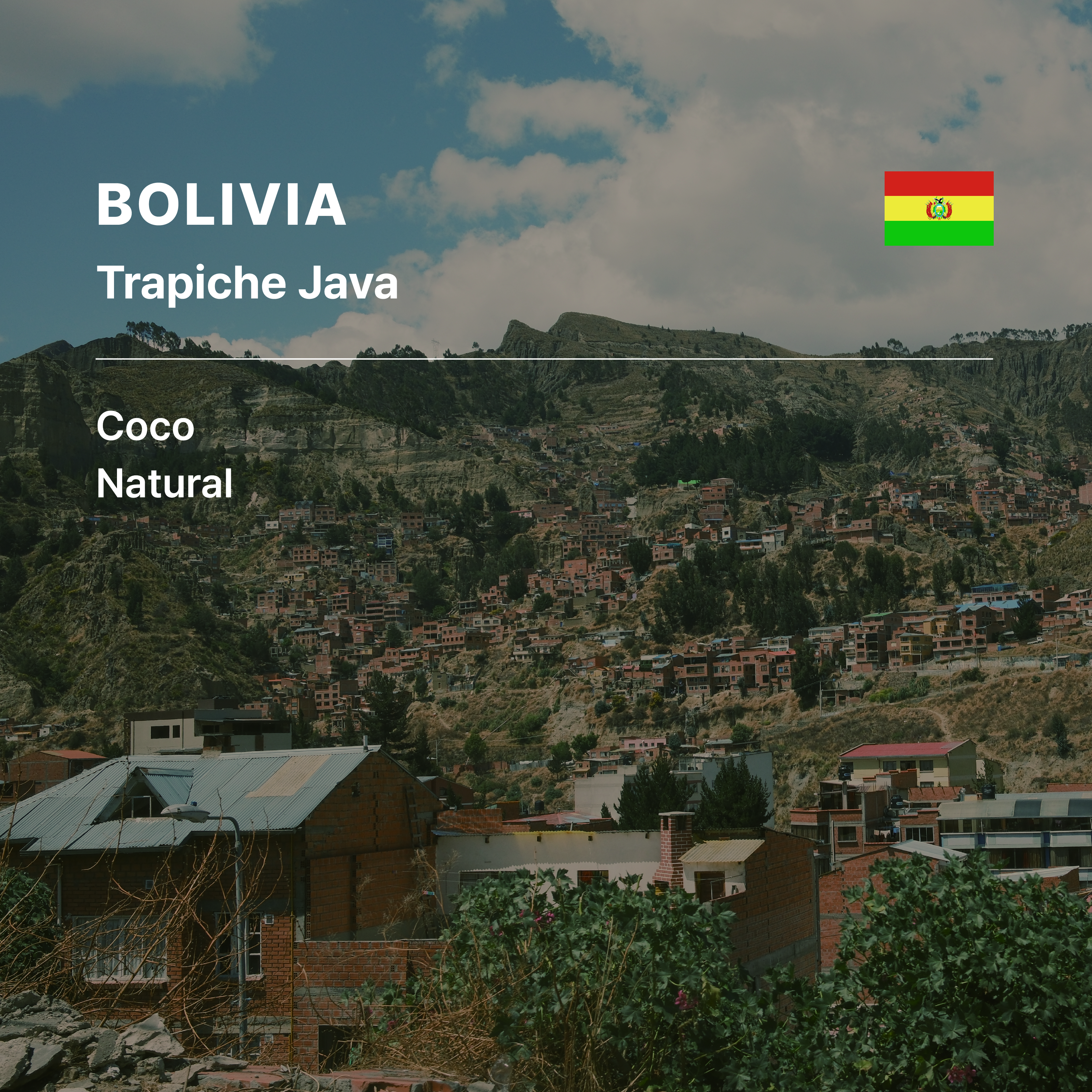 Bolivia Trapiche Java Coco Natural
