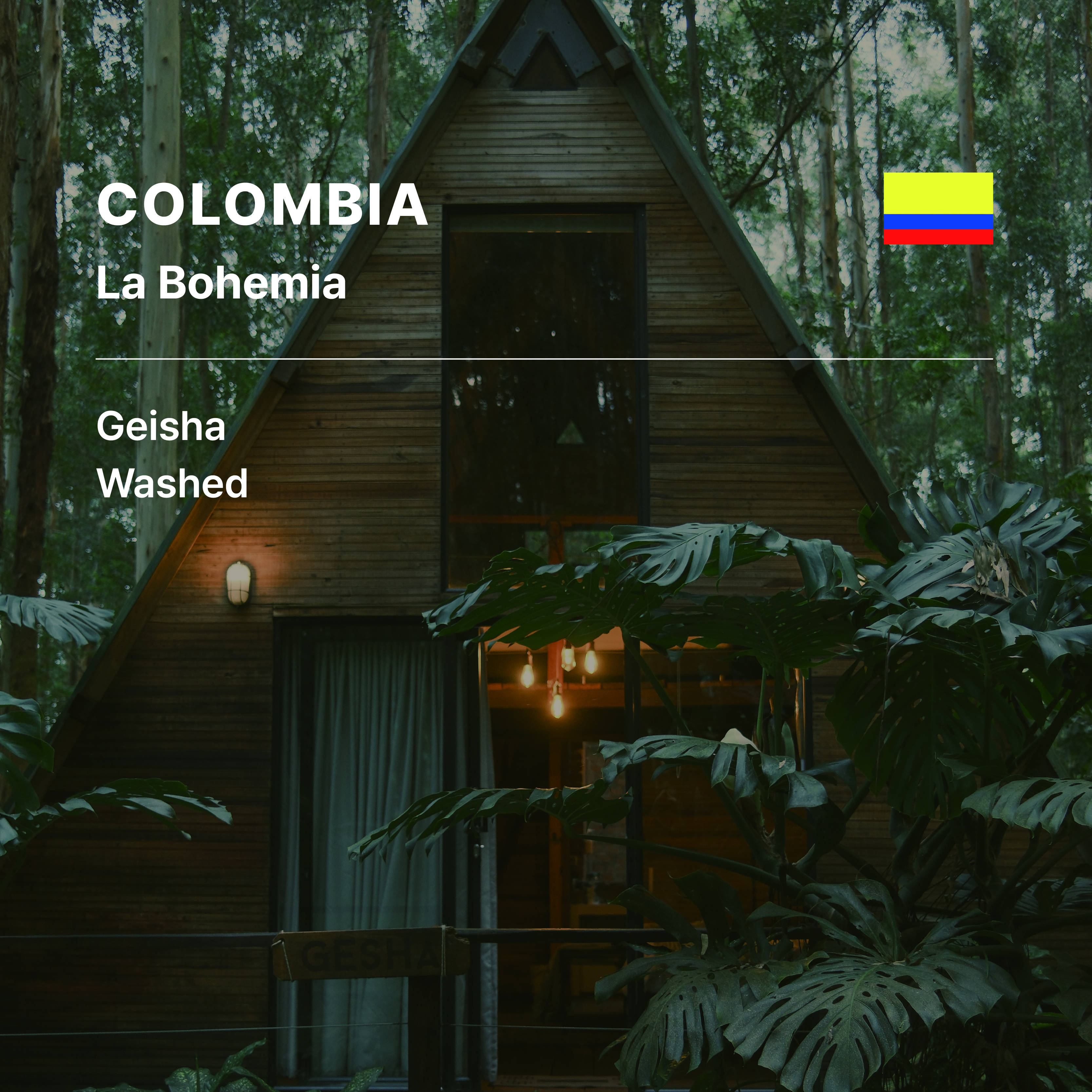 Colombia La Bohemia Geisha Washed