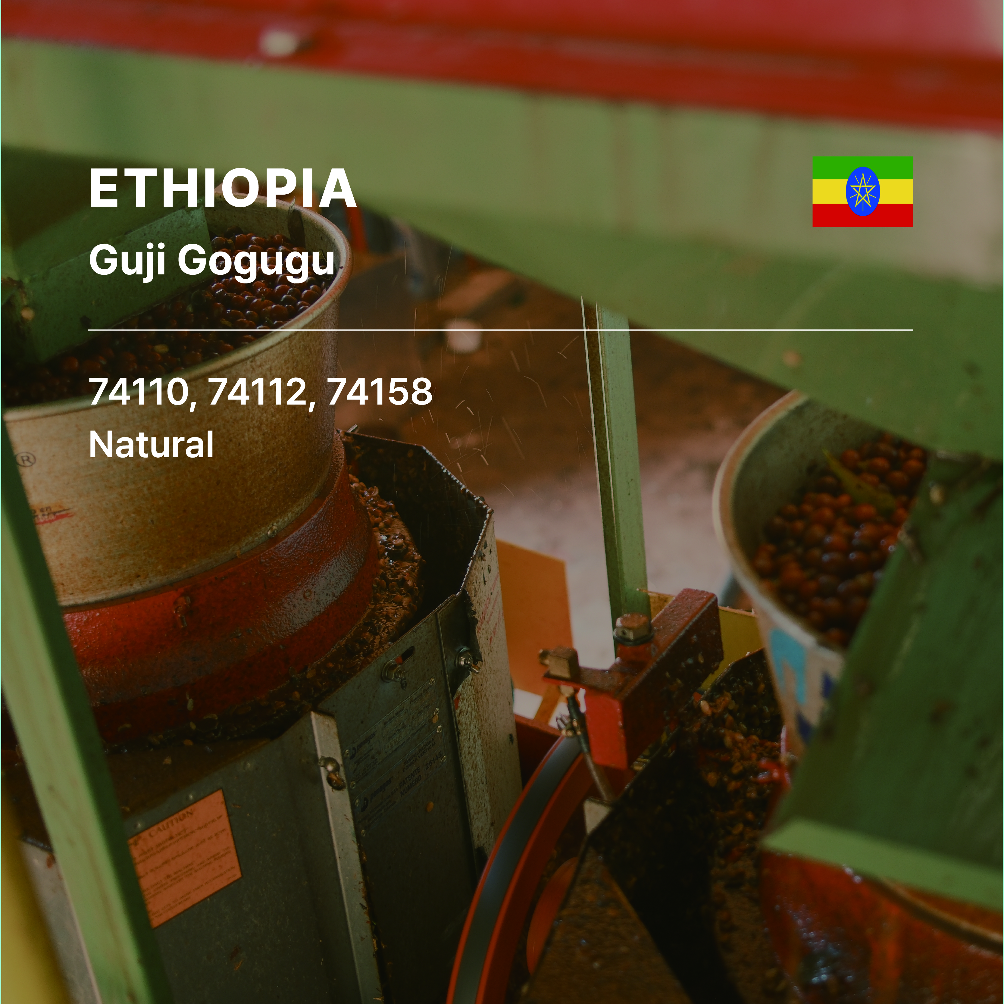 Ethiopia Guji Gogugu G1 Natural