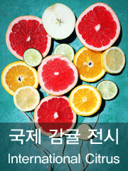 2017전시행사 두번째이미지