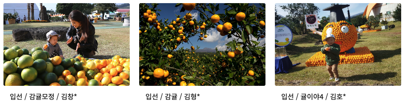 7dc876723260a.png