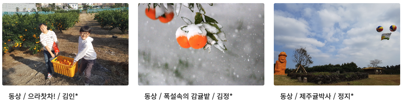 d8752493f4476.png