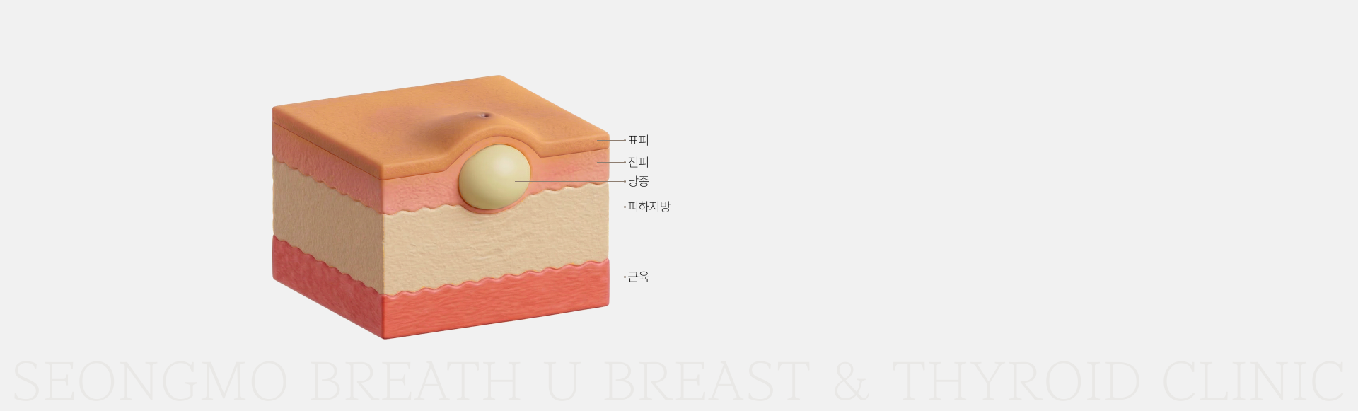 배경이미지