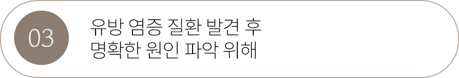 버튼3