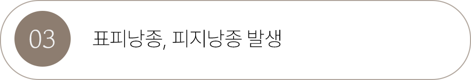 버튼3