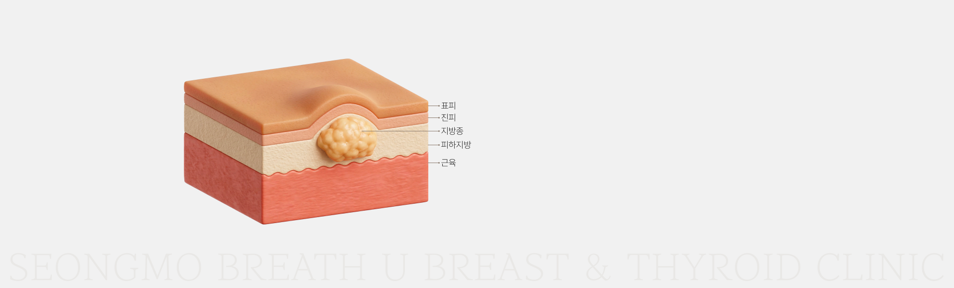 배경이미지