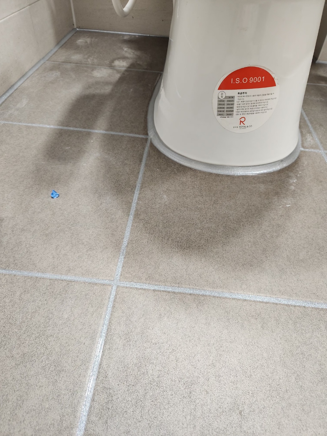 56e516086800b.jpg